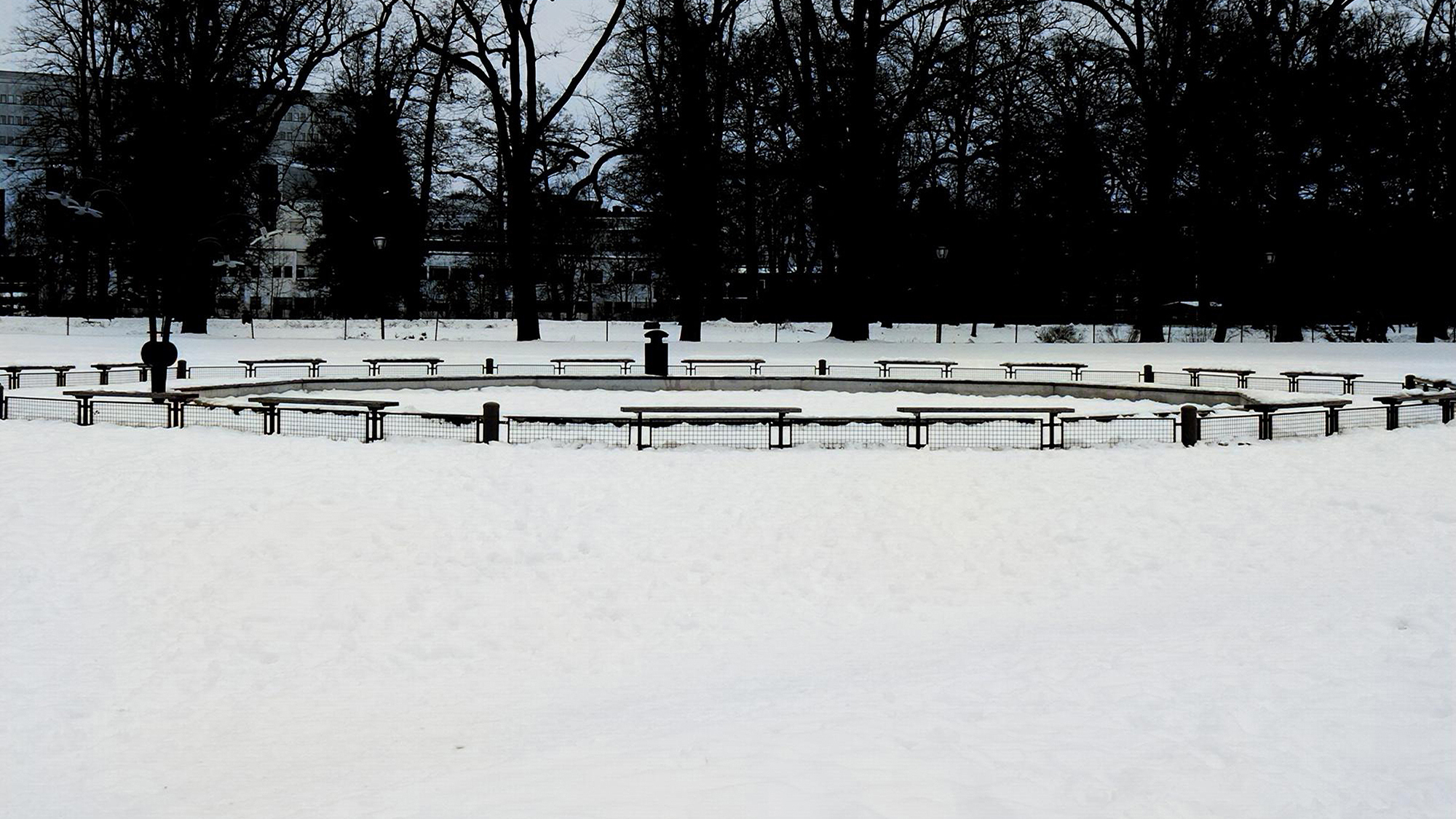 Snow I Only Saw Once / 2021