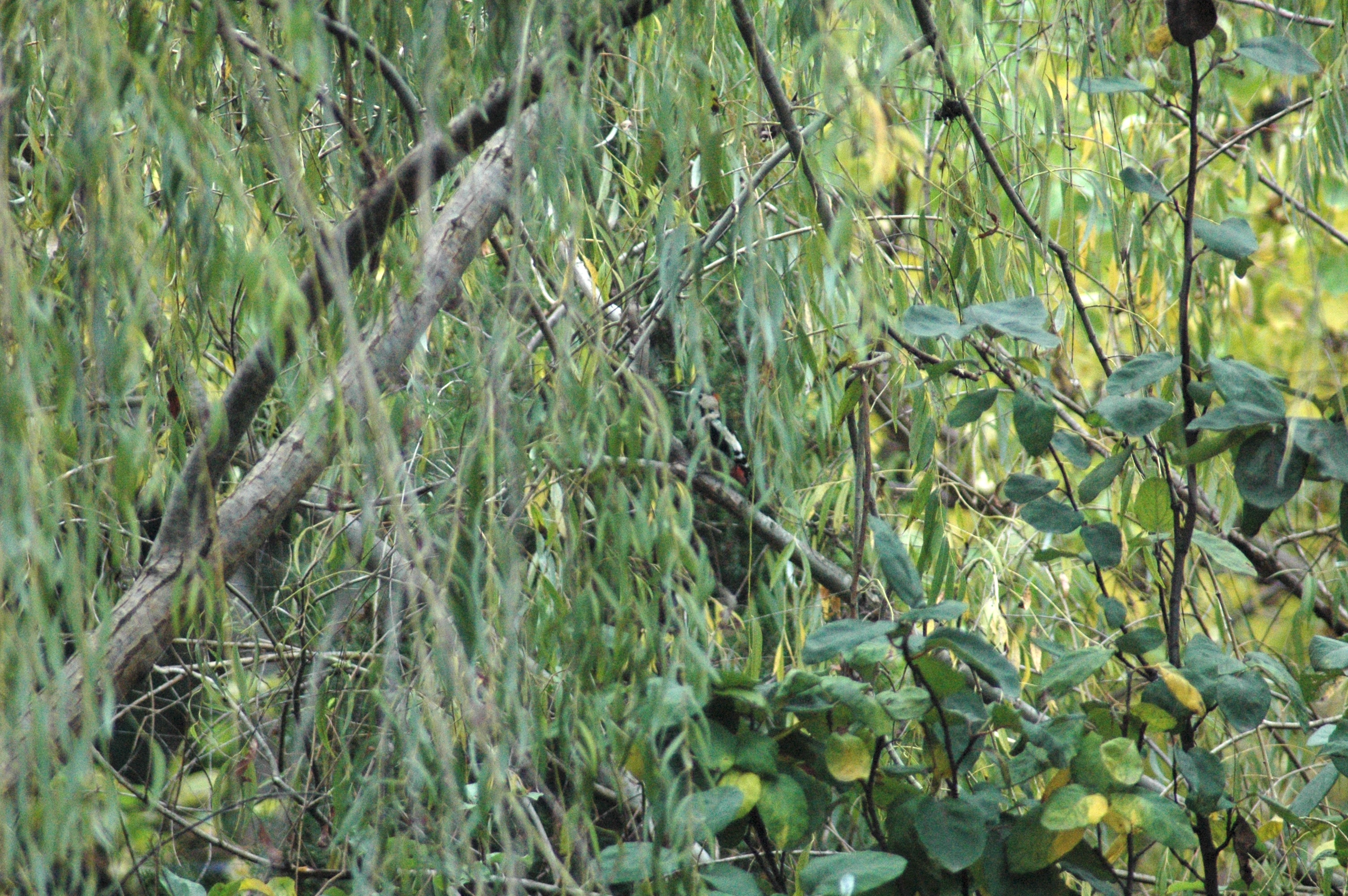 03.11.2013, Kampüs dışı