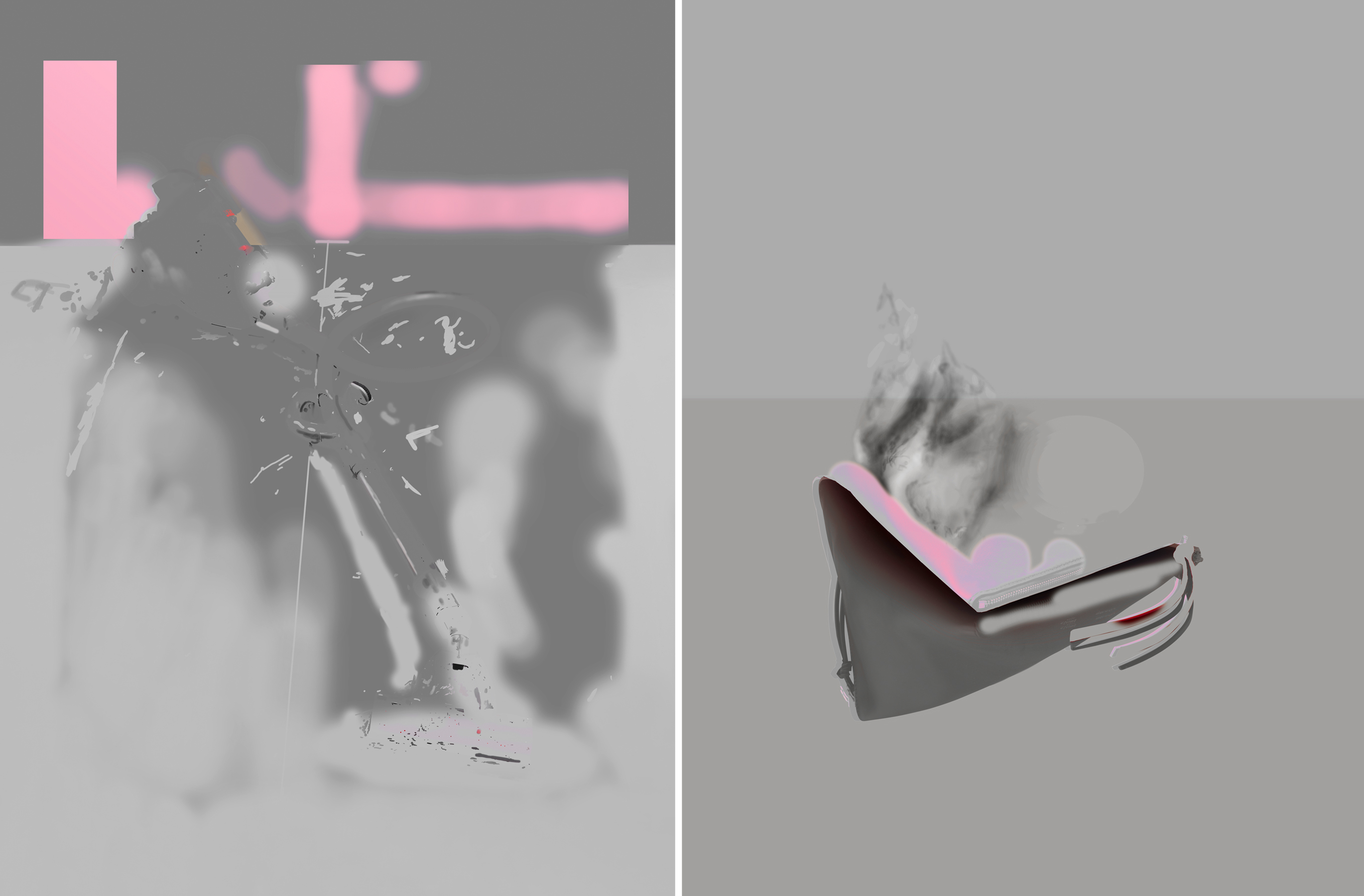 When you go to buy a vacuum cleaner and a Chloe Bag, 60"x80" carbon pigment prints, 2013
