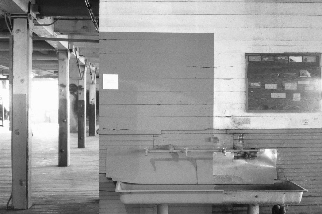 untitled (installation view), paint, printed cards