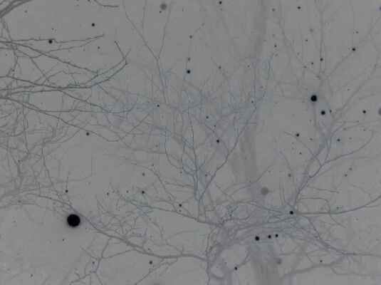 Still from Negative Nine by Dan Lowe