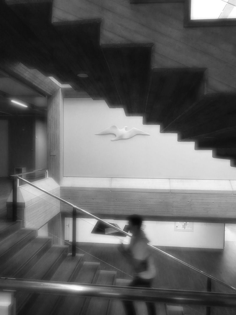 &bdquo;N&auml;chster Halt: Weiterbildung.  Erklimmen Sie die Karriereleiter in einem Gebiet, das Ihnen Freude bereitet.&ldquo;