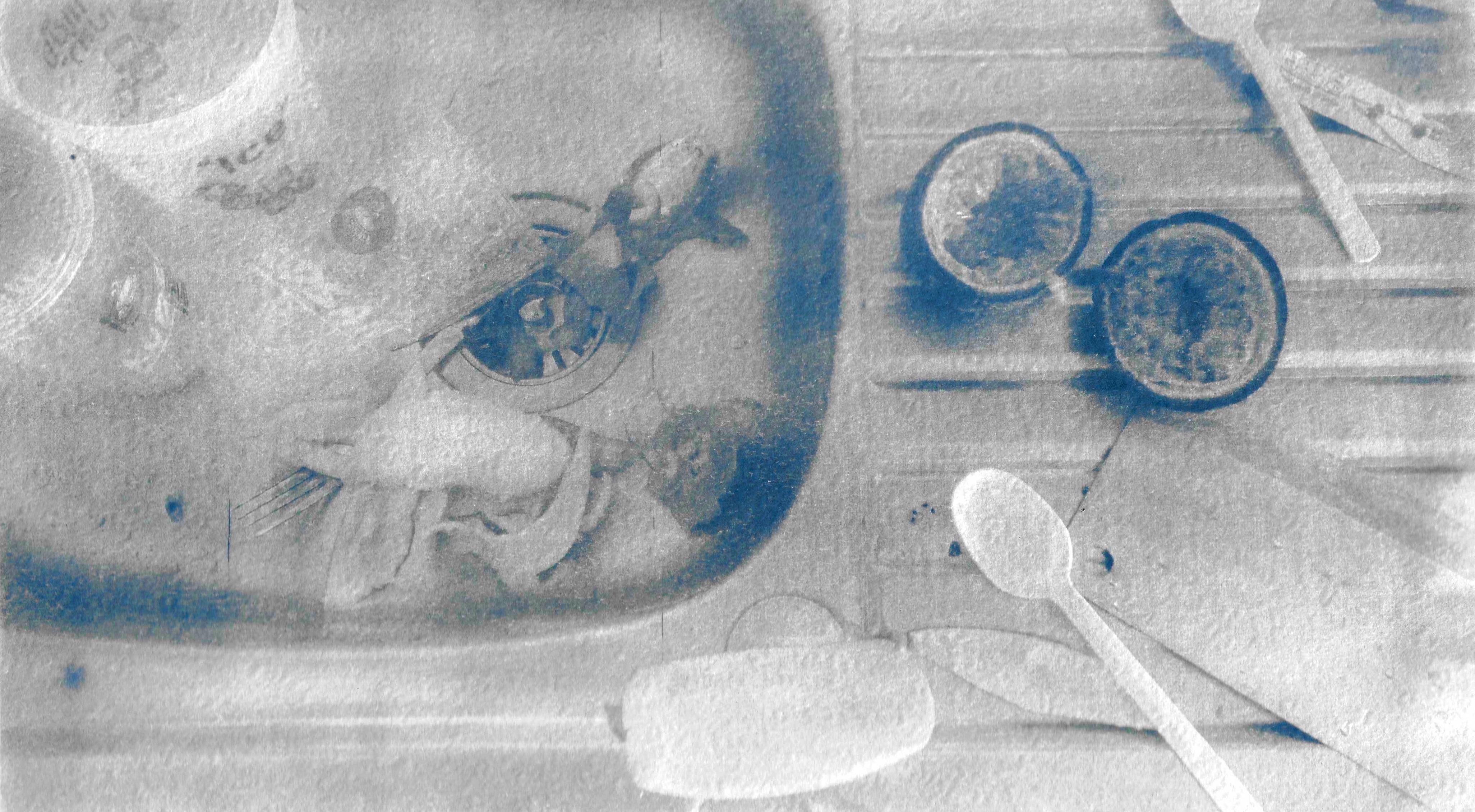 Cyanotype print on paper, 15x26, 1/1, 2023