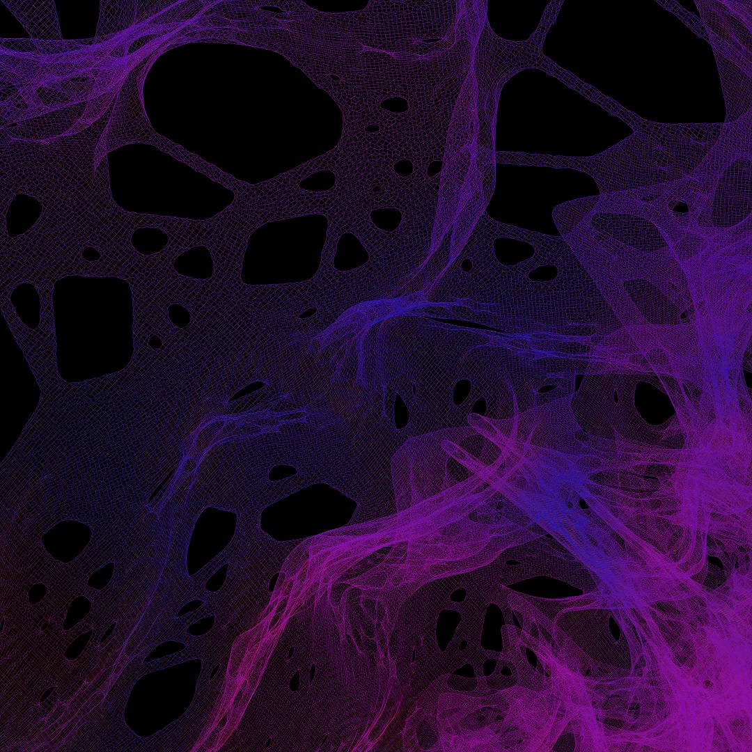 resulting wireframes; color indicating density