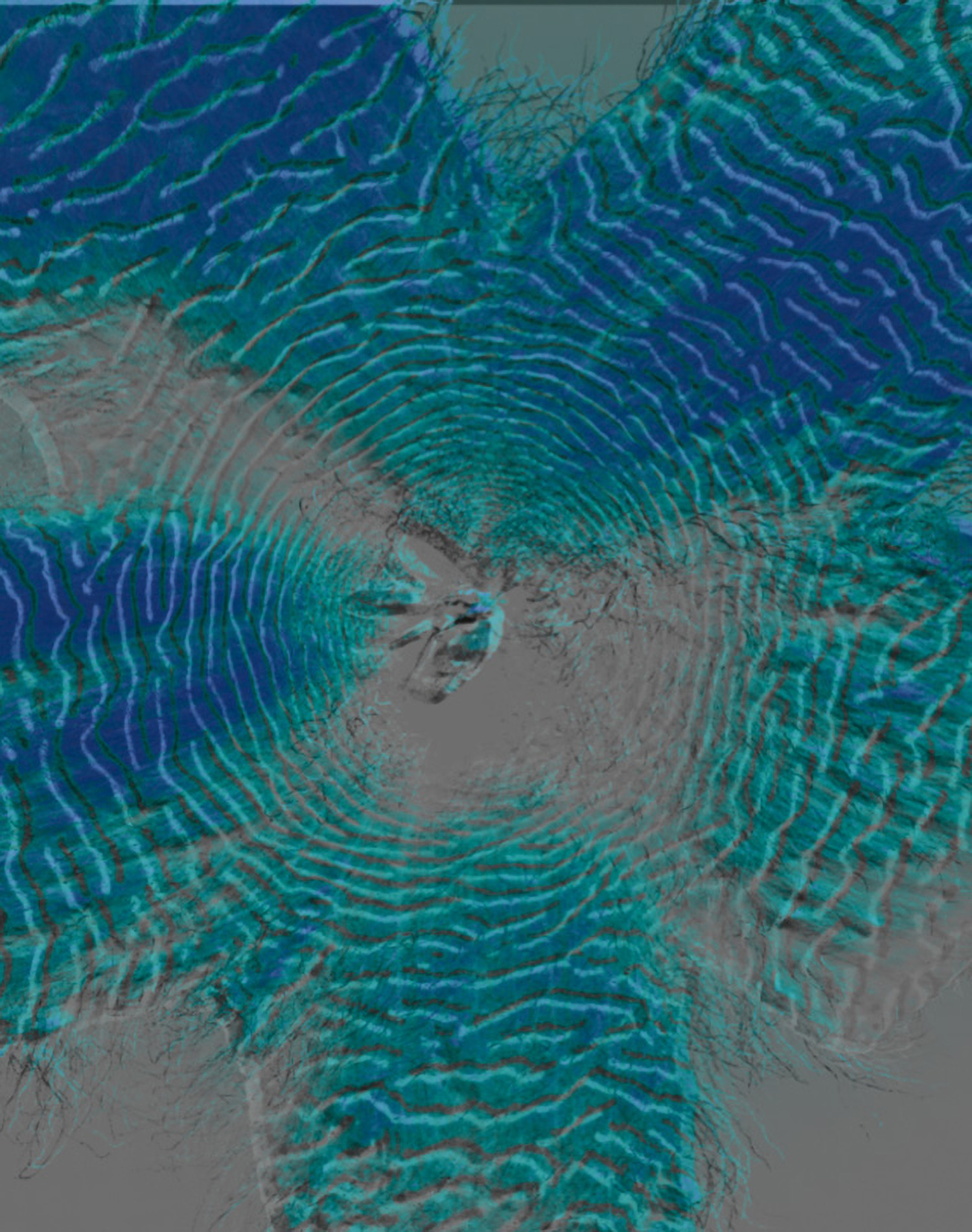 KMA photographer Daniel Schweizer shoots an abstract photo of a blue and green flower with ripples 