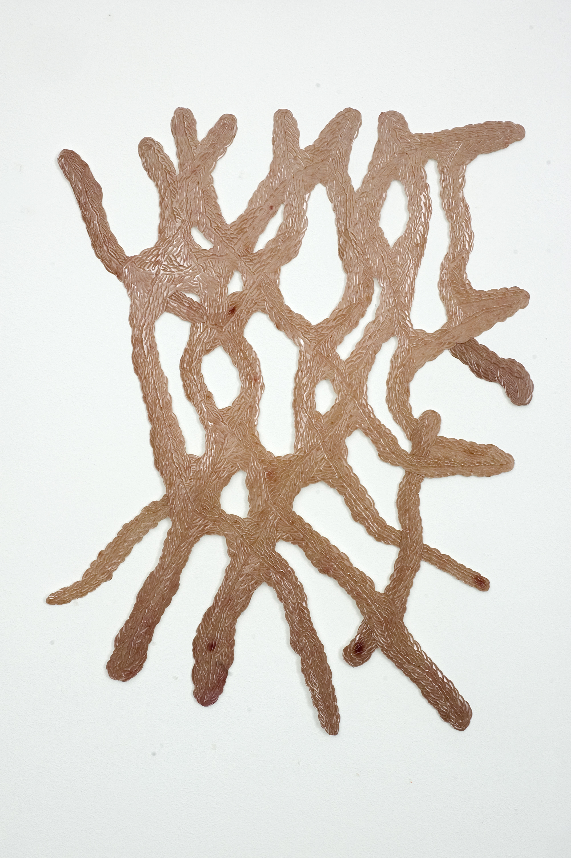  Arteries of Flesh . Photograph cut and carved .  42 x 32 cm