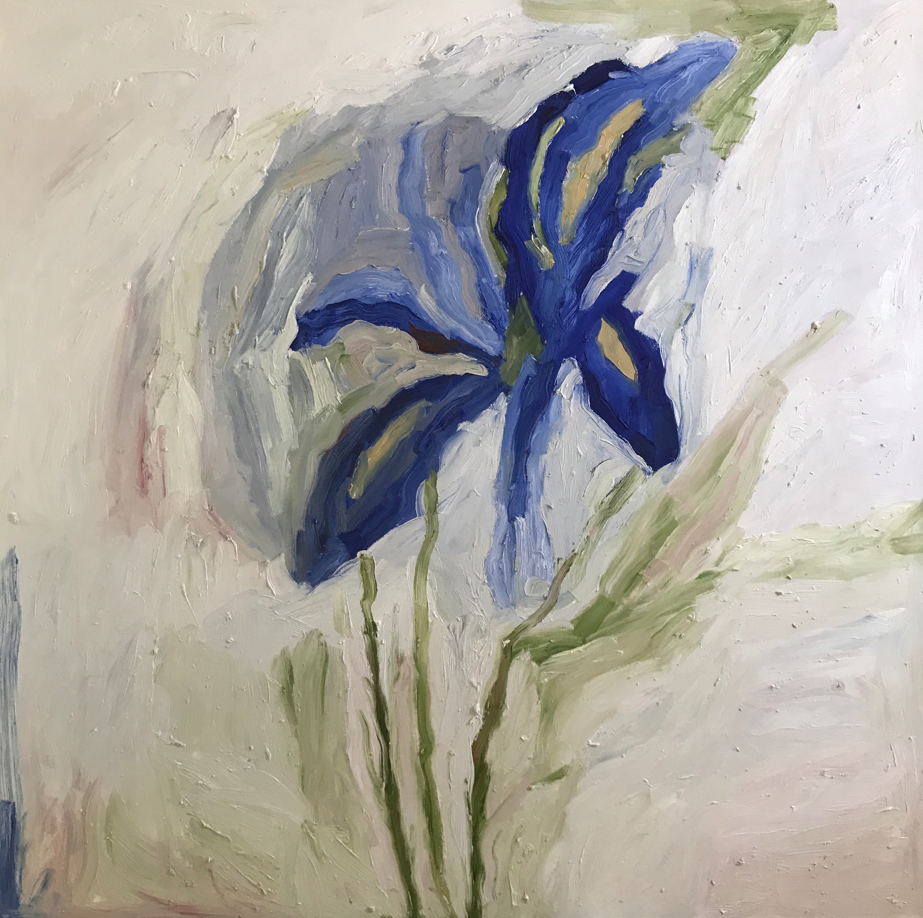 Swamp Iris, 2021, Oil on canvas, 48"x48" in