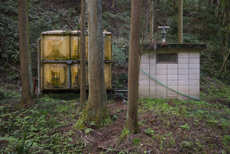 twinned strangers // kyoto