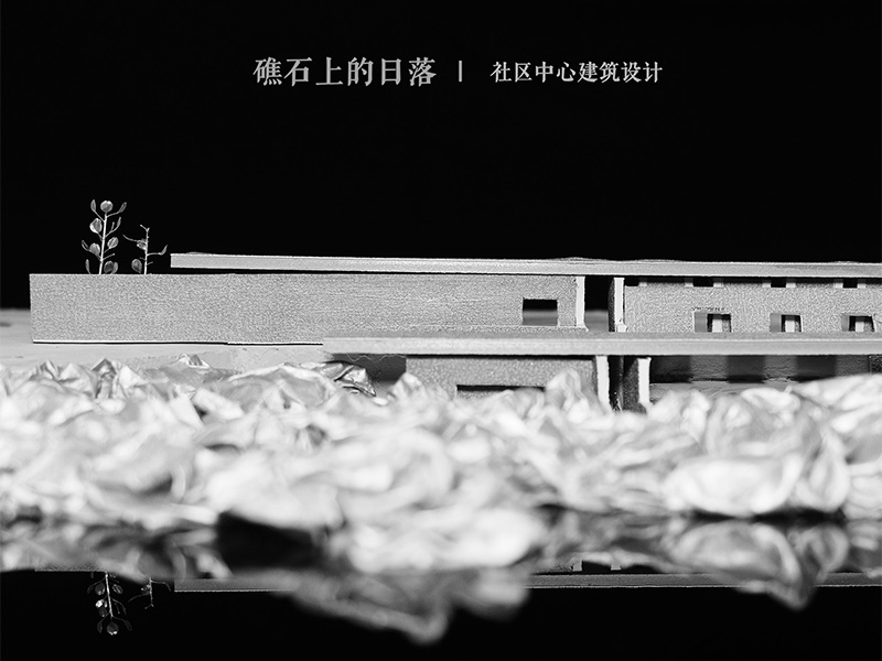 礁石上的日落三年级