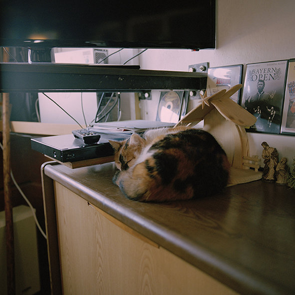 The World in Repition