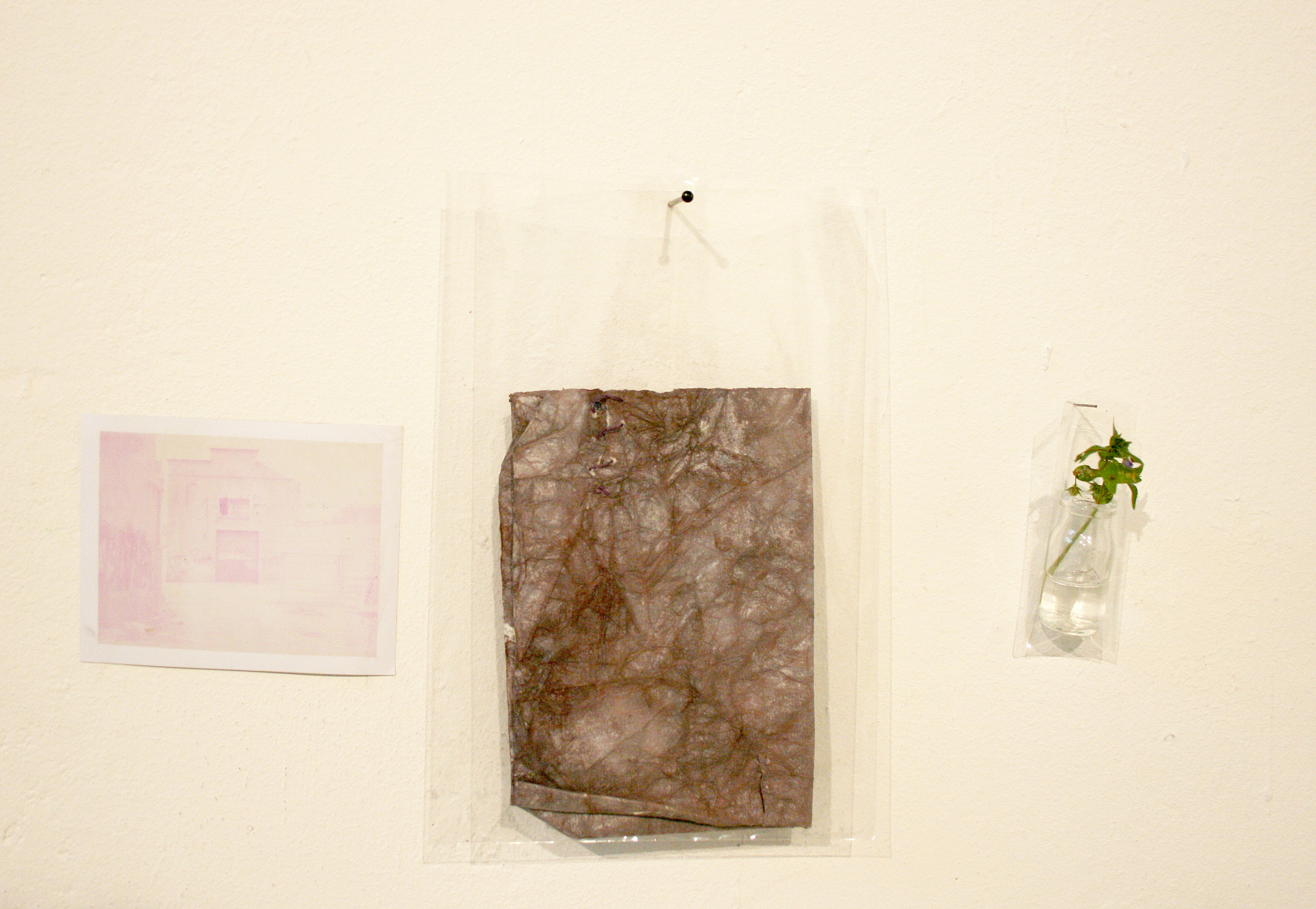 Sense títol, Dennise Vaccarello