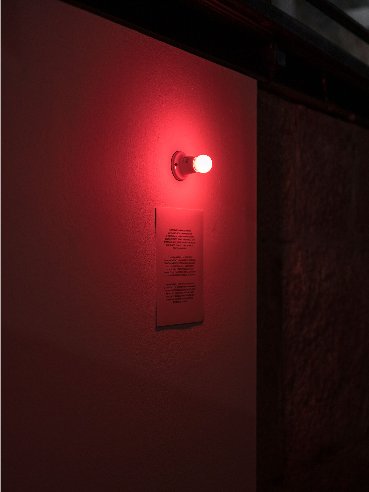 Una breu història de la lubricació (Performance), 2020Series of unannounced performancesVariable durationsPhoto: Grimalt de Blanch