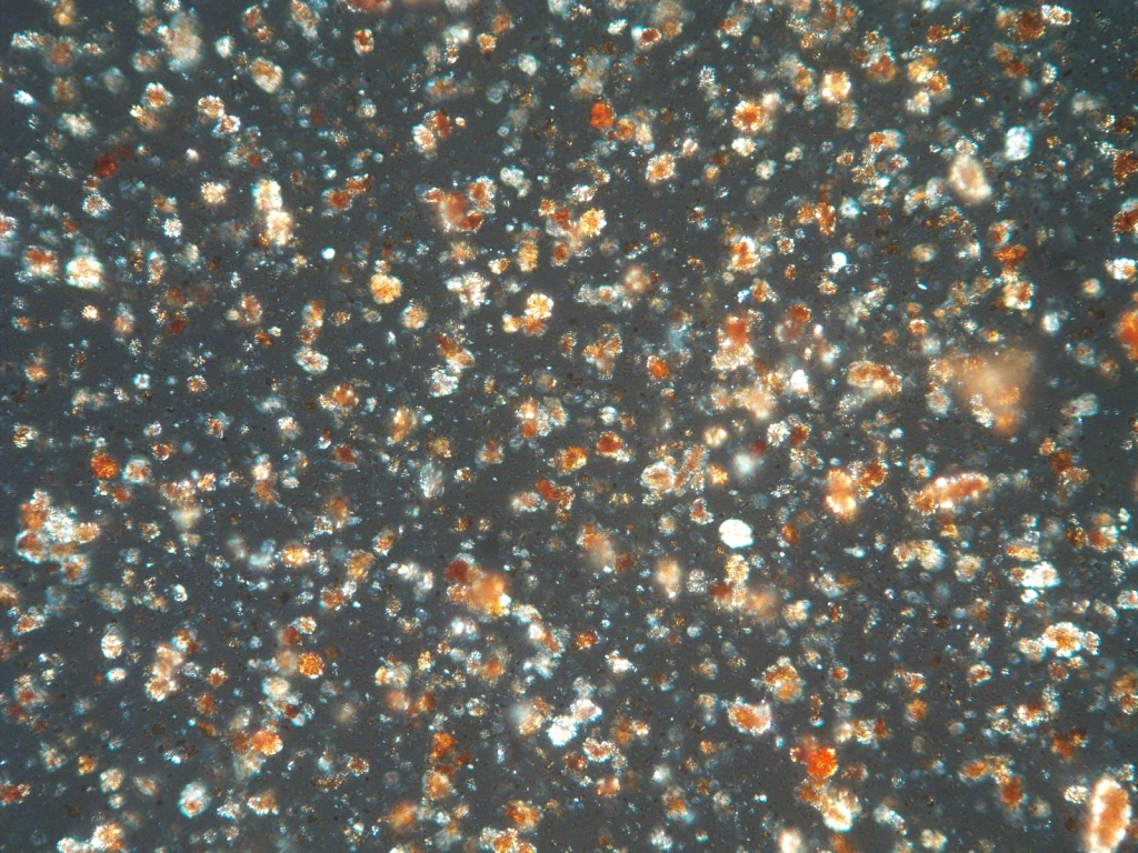 Tan-y-Garn, Ferrihydrite Digital photograph Cross-Polarised Light (XPL) x1000, Field of view 0.1 mm