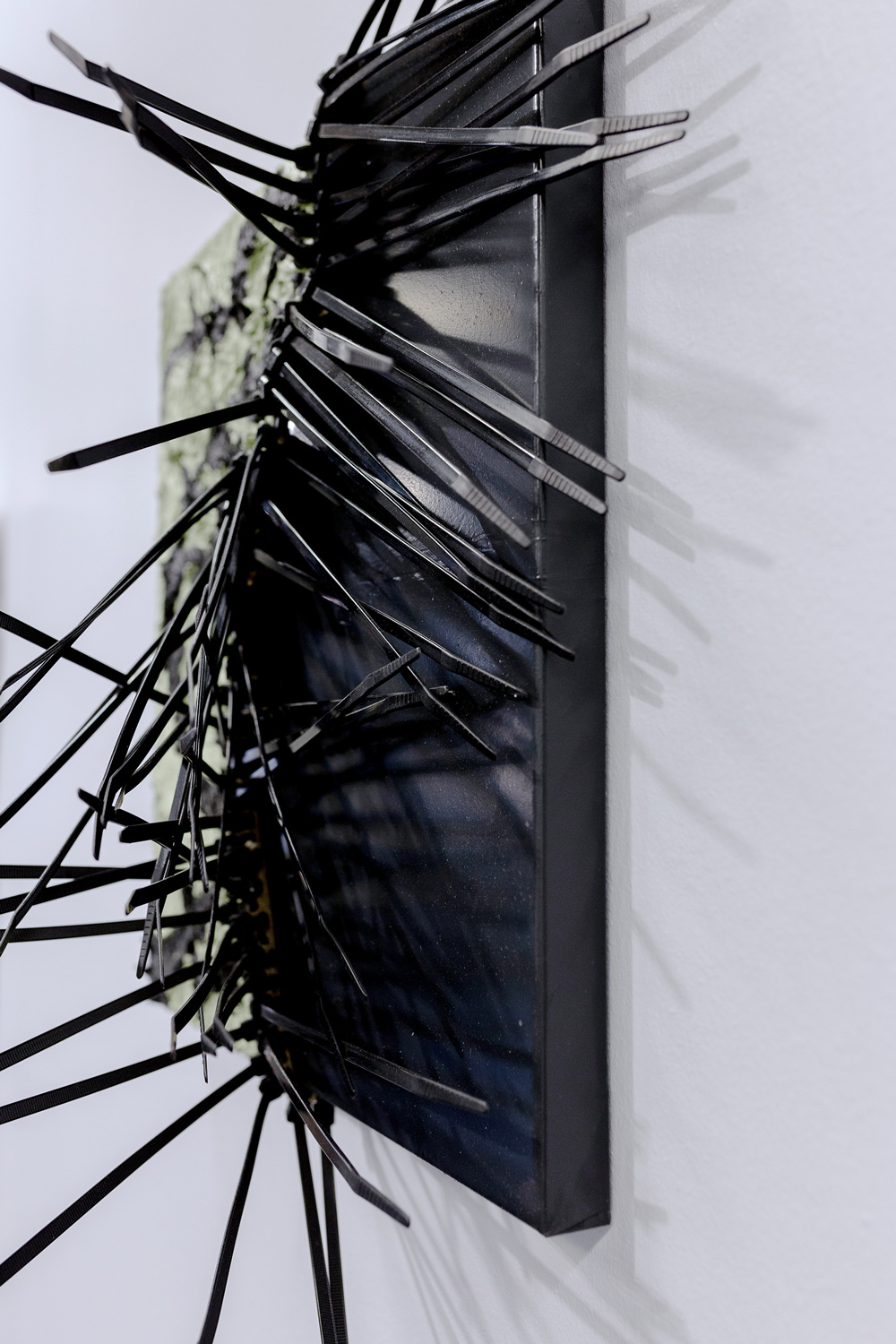 Chitin, detail