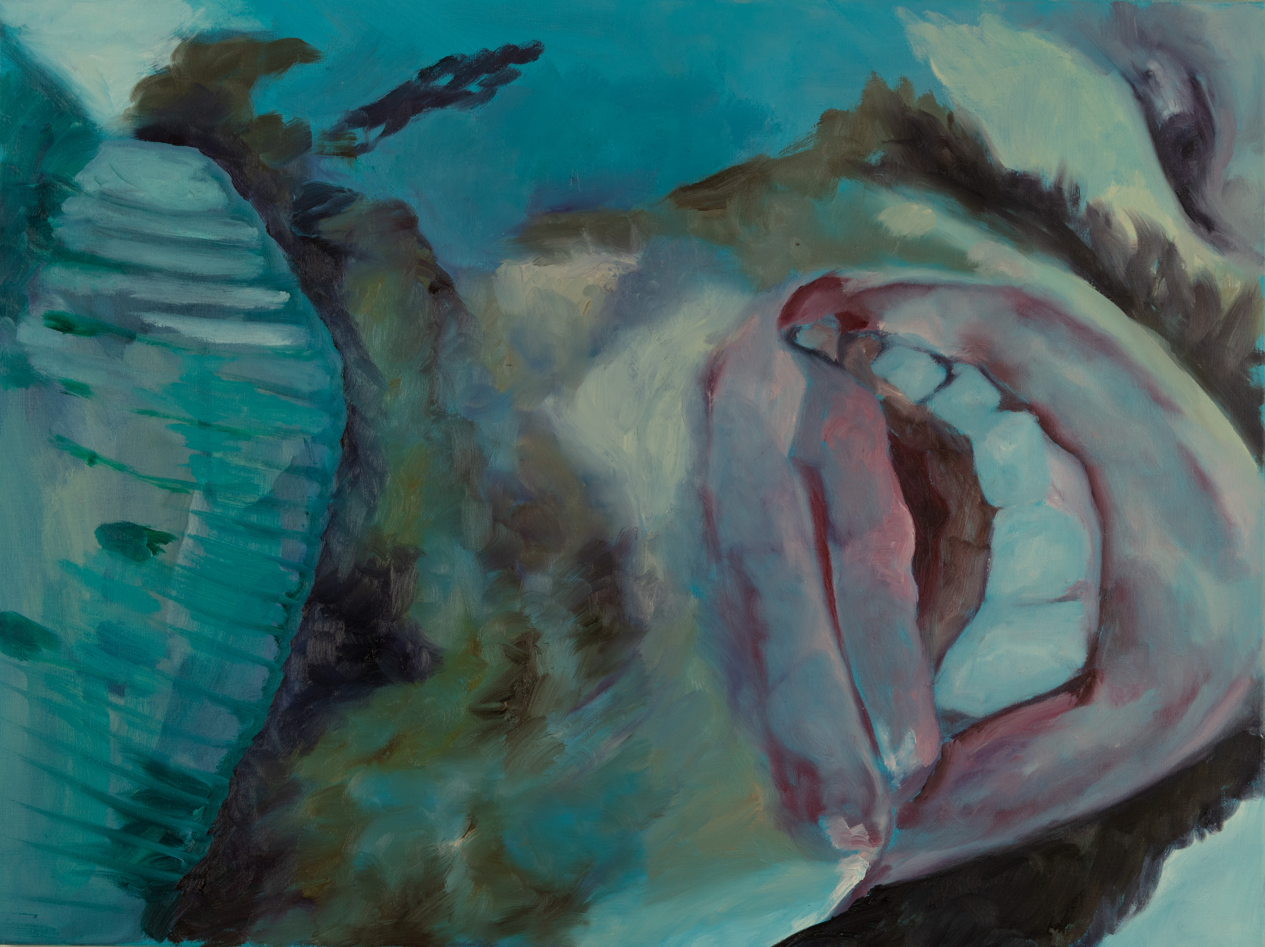 Untitled, Oil on linen, 60 x 80, 2022