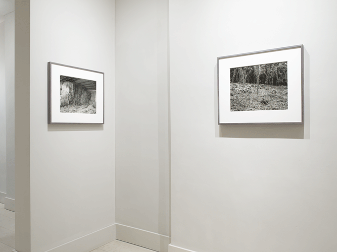 Installation View A Coin in Nine Hands - Part 4: Cesare Fabbri (Sardegna) Photo: Stephen White