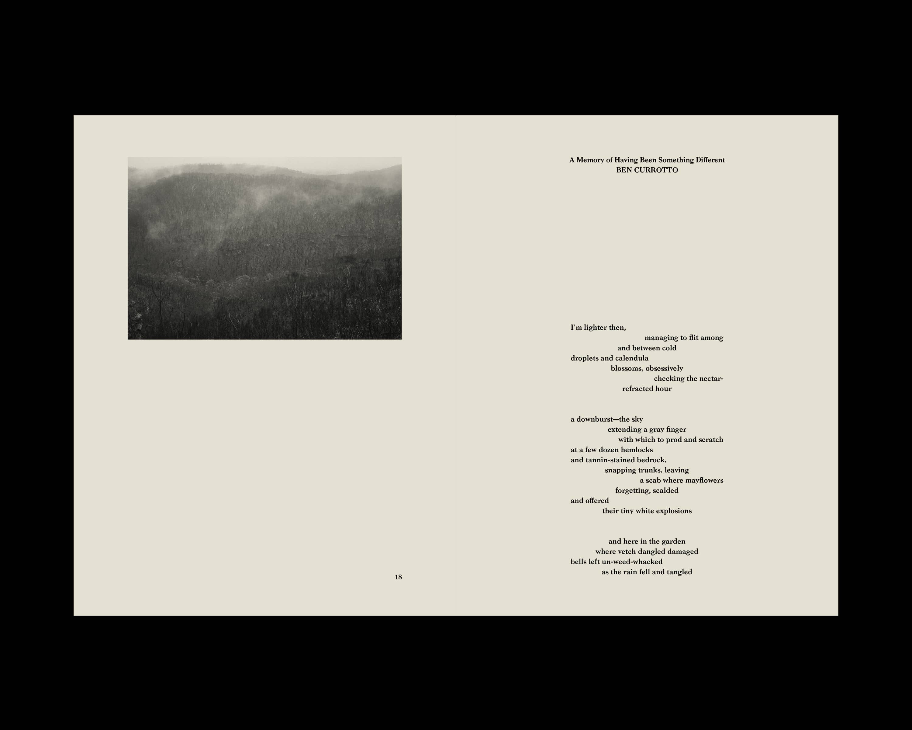 Works by Chelsea Call and Ben Currotto. Signals (p.18-19).