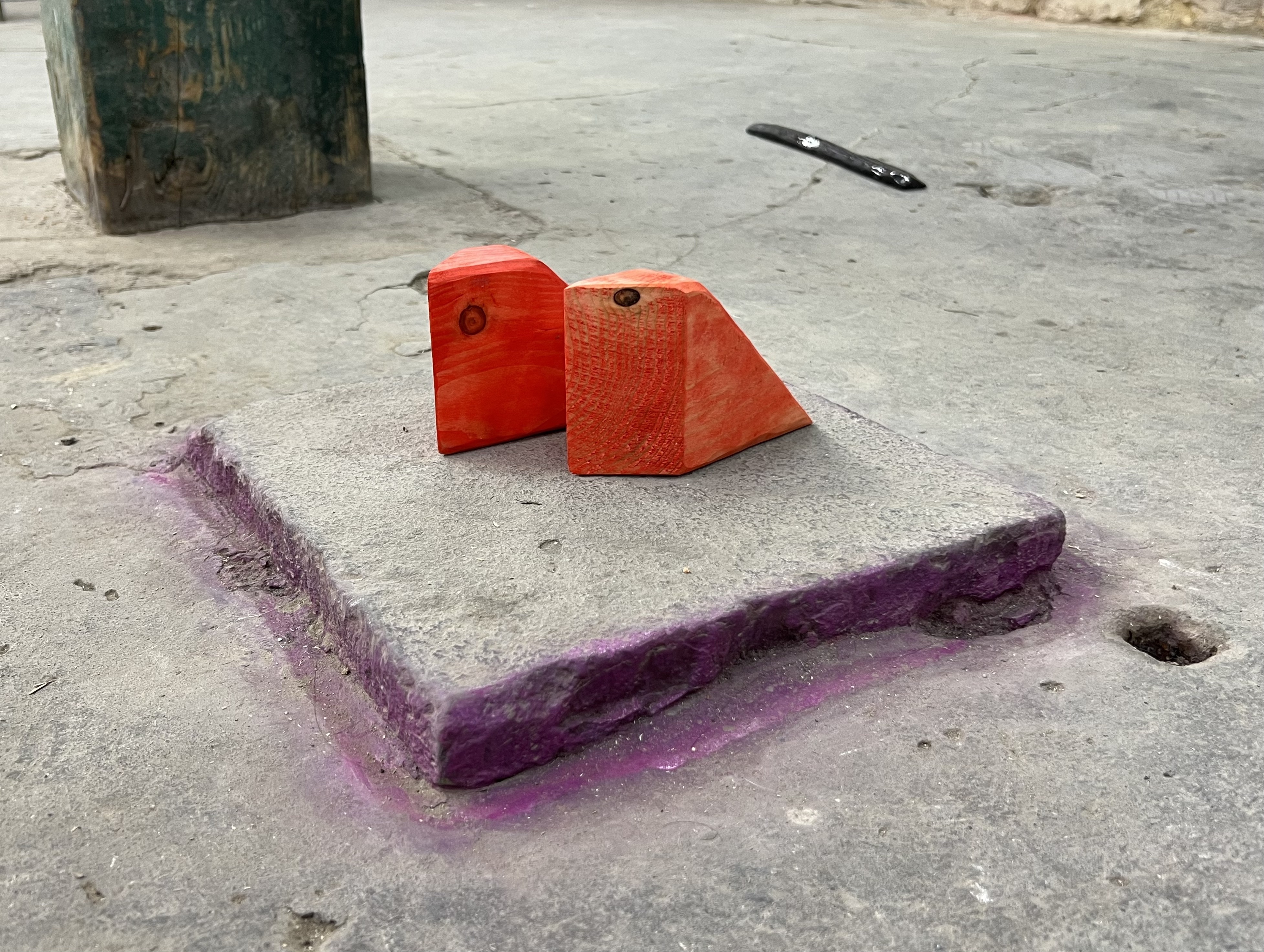 two birds with a snake in the distance