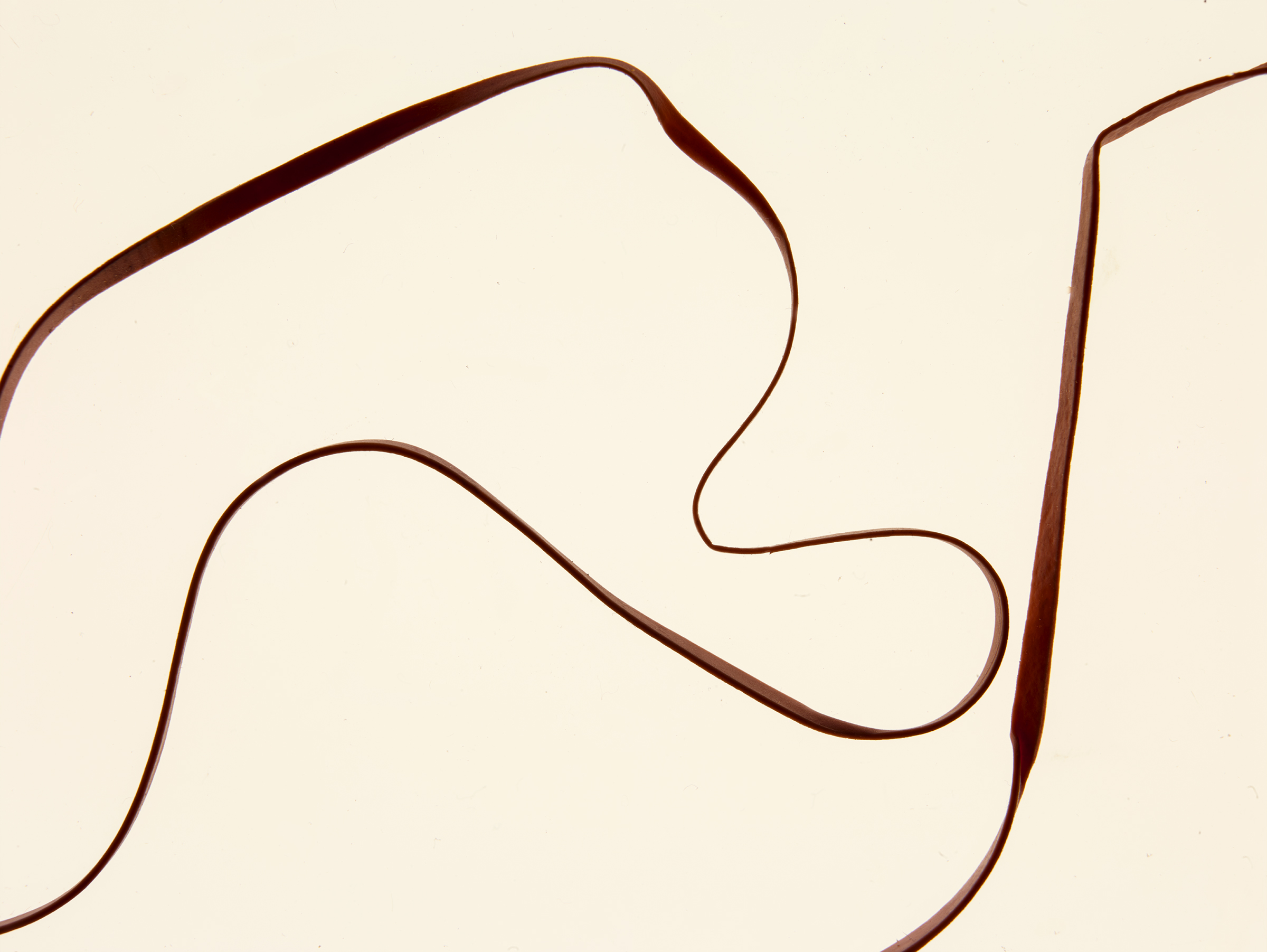 Rubber Bands, 2020_1/4