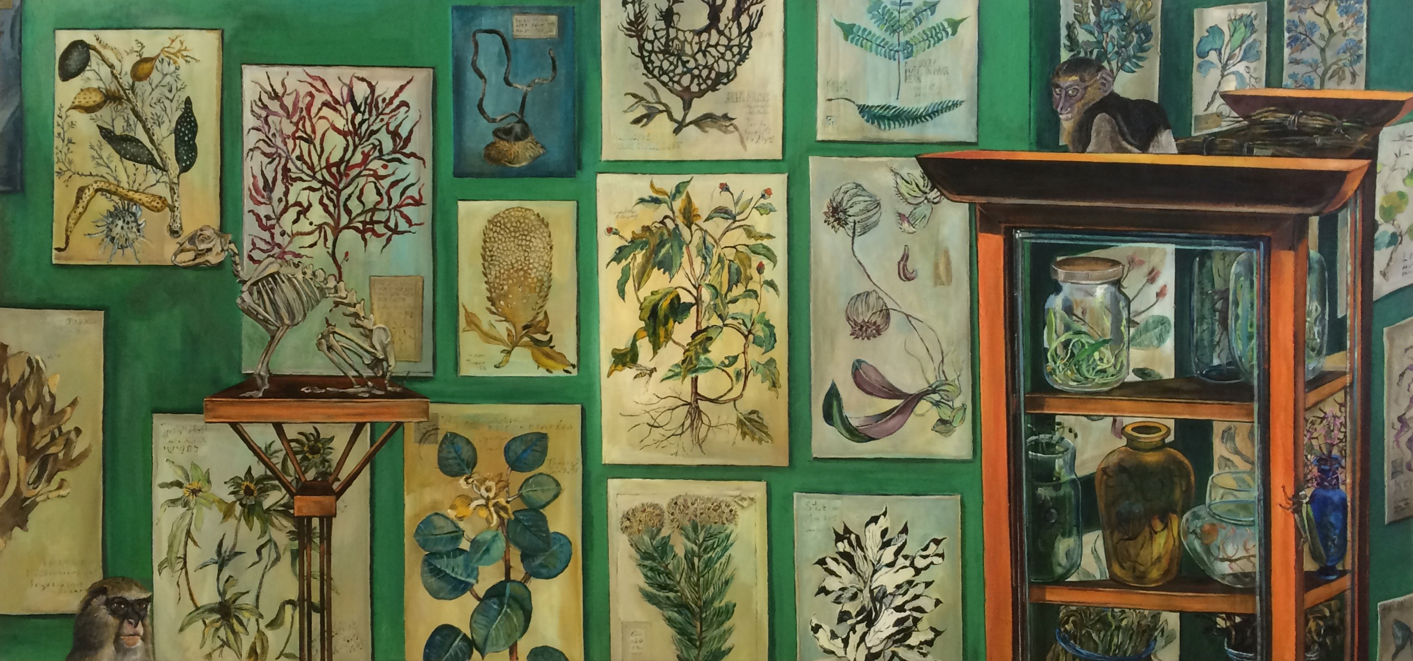 El Naturalista VII - L&agrave;mines