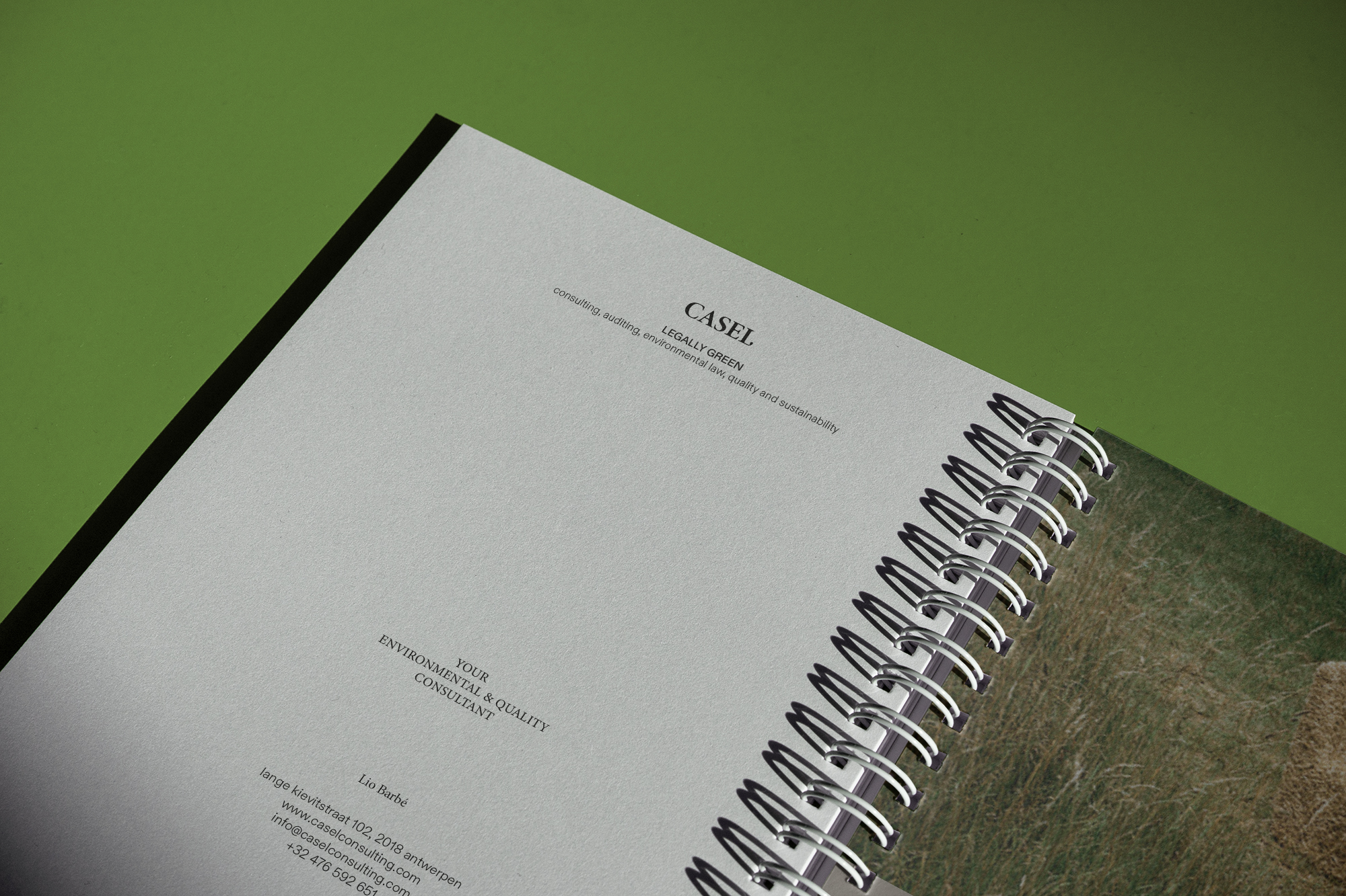 Compact identity for Casel Consulting