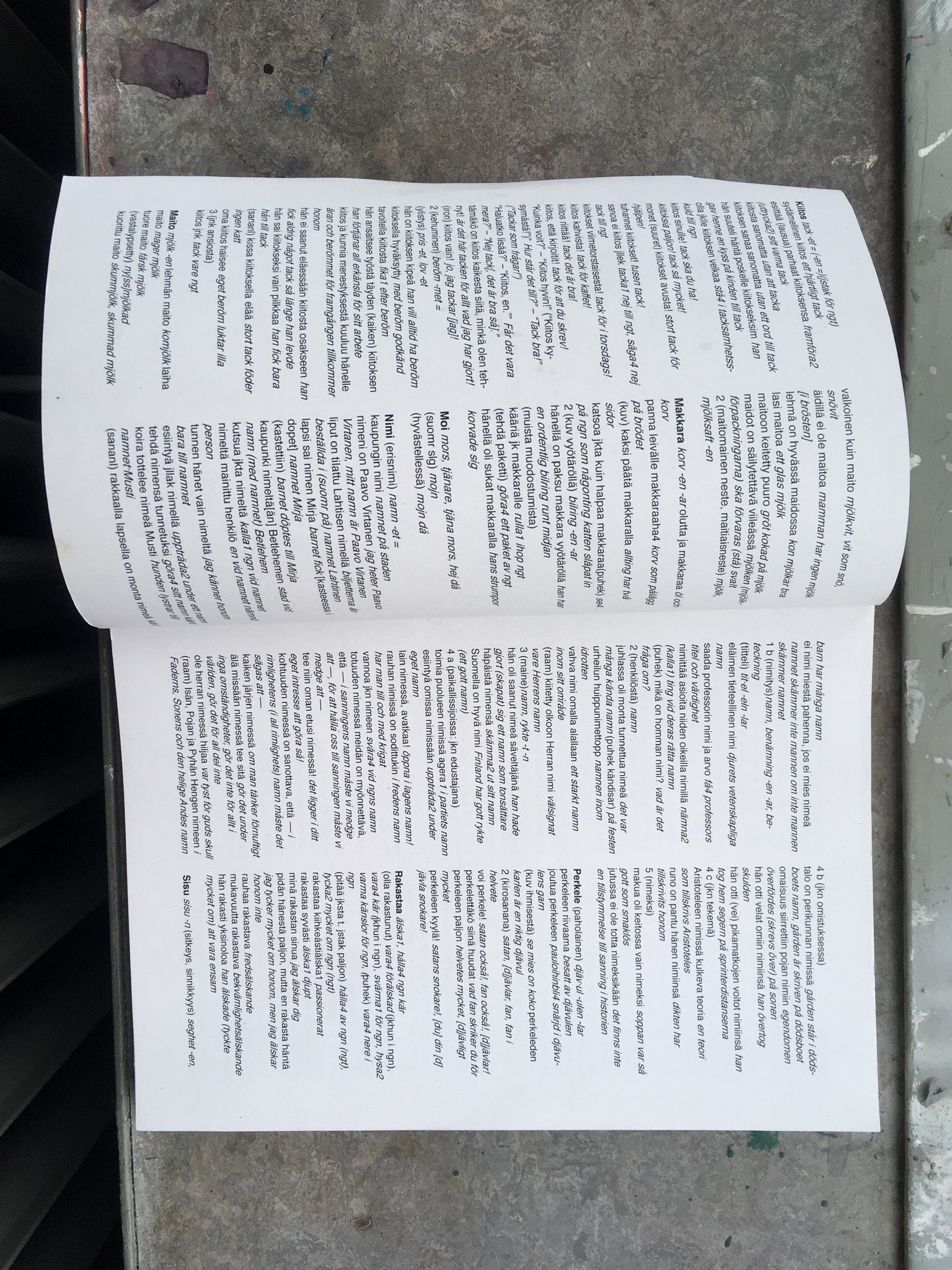 Ei Saa Peittää, 2018, Finnish-Swedish Dictionary, 21x14,8cm.