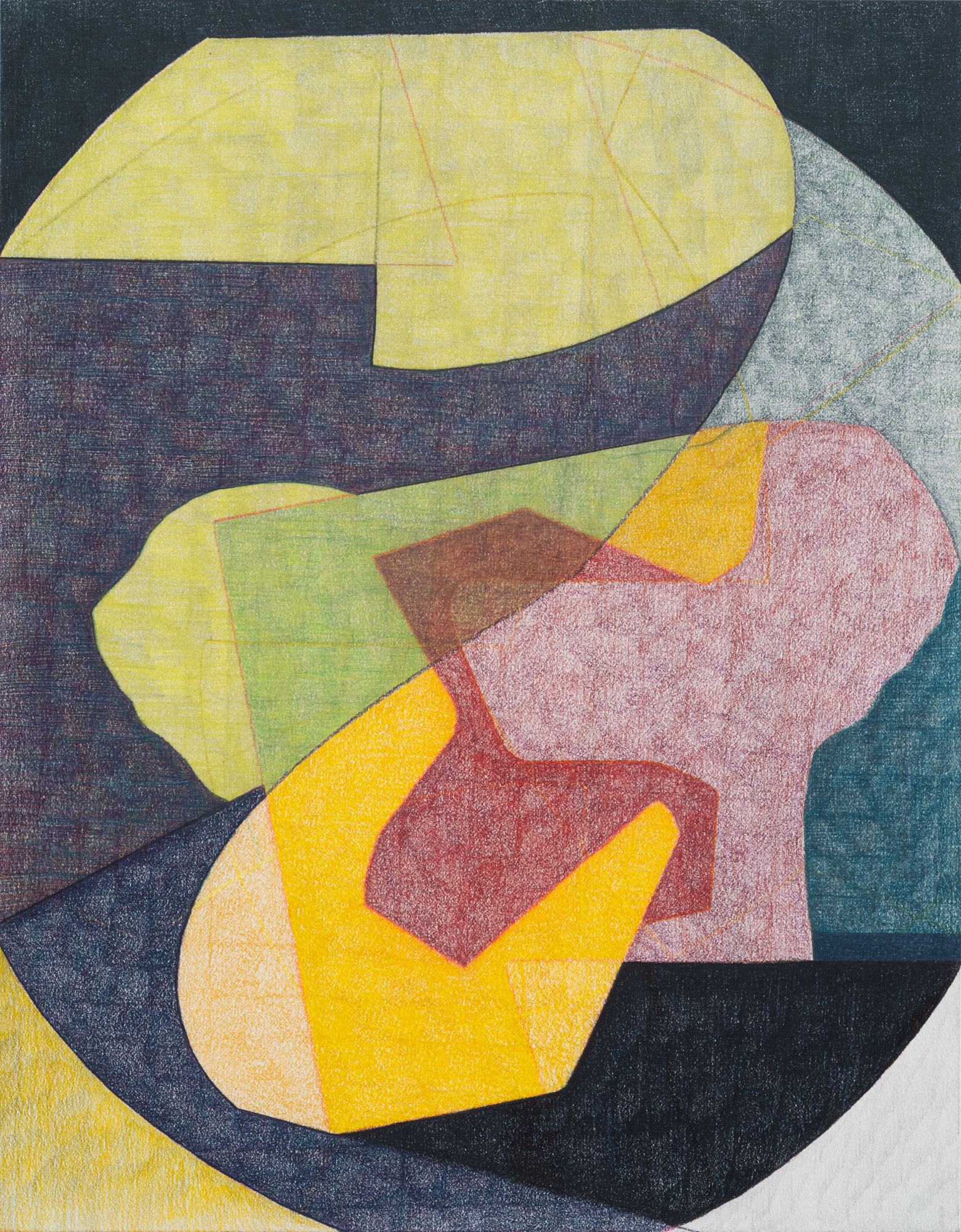 Iris, 2025, colored pencil and graphite on paper, 14 × 11".