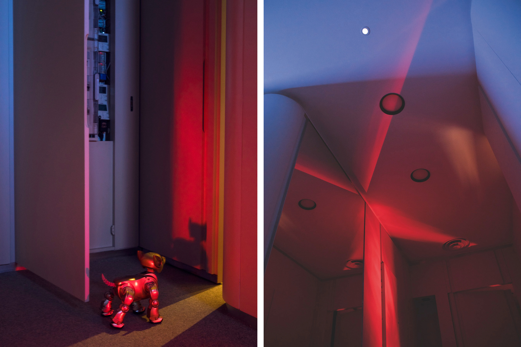 Vintage architecture porn book'Erotique Chic' written by Thijs Demeulemeester, 2O17 Lannoo