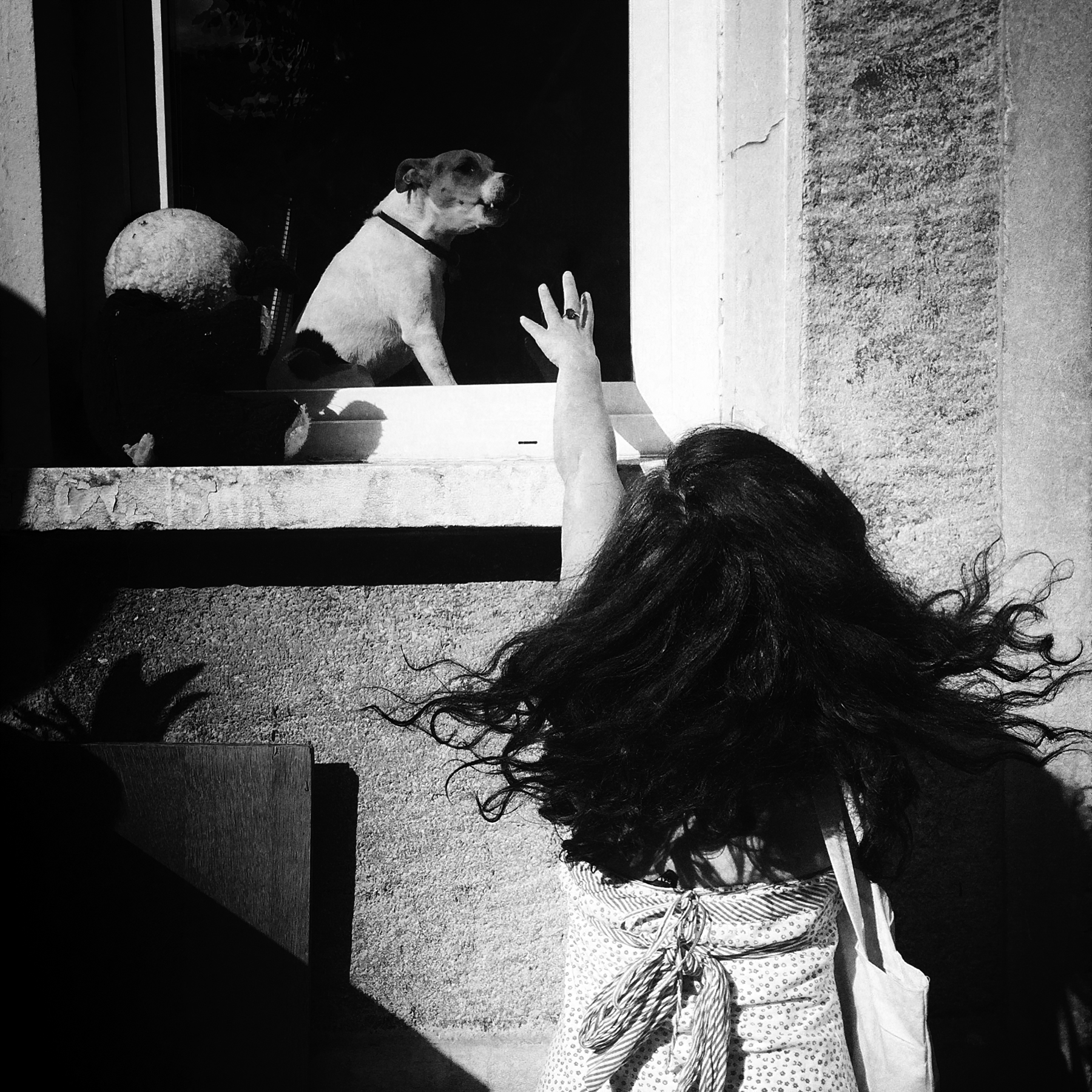 Dog Girl • 20x20cm