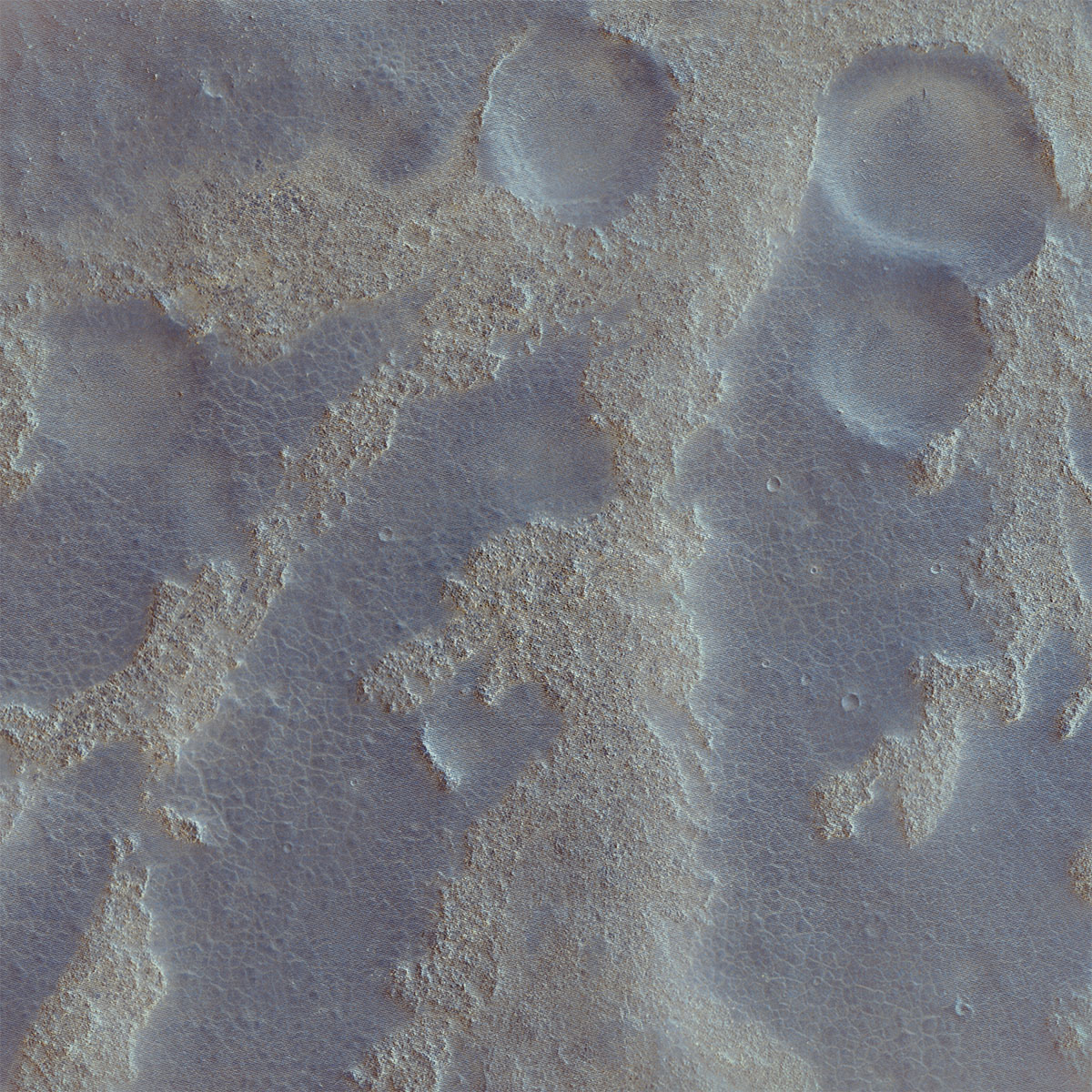 Enjambre 009 w/ Altea y Marina (May 2022)