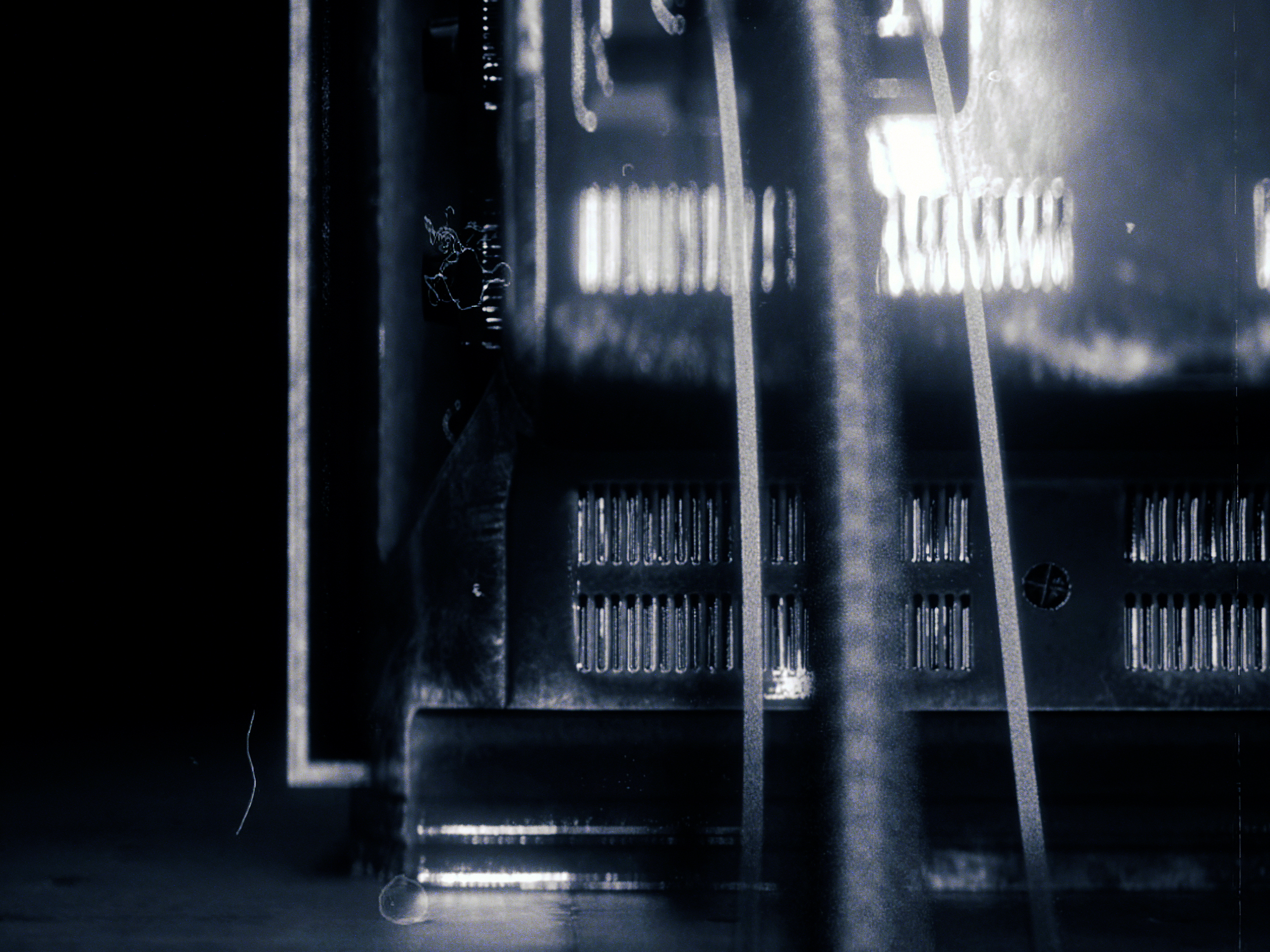 DEAD OR ALIVE; A LOOPKIT BY KLOUDBWWOY