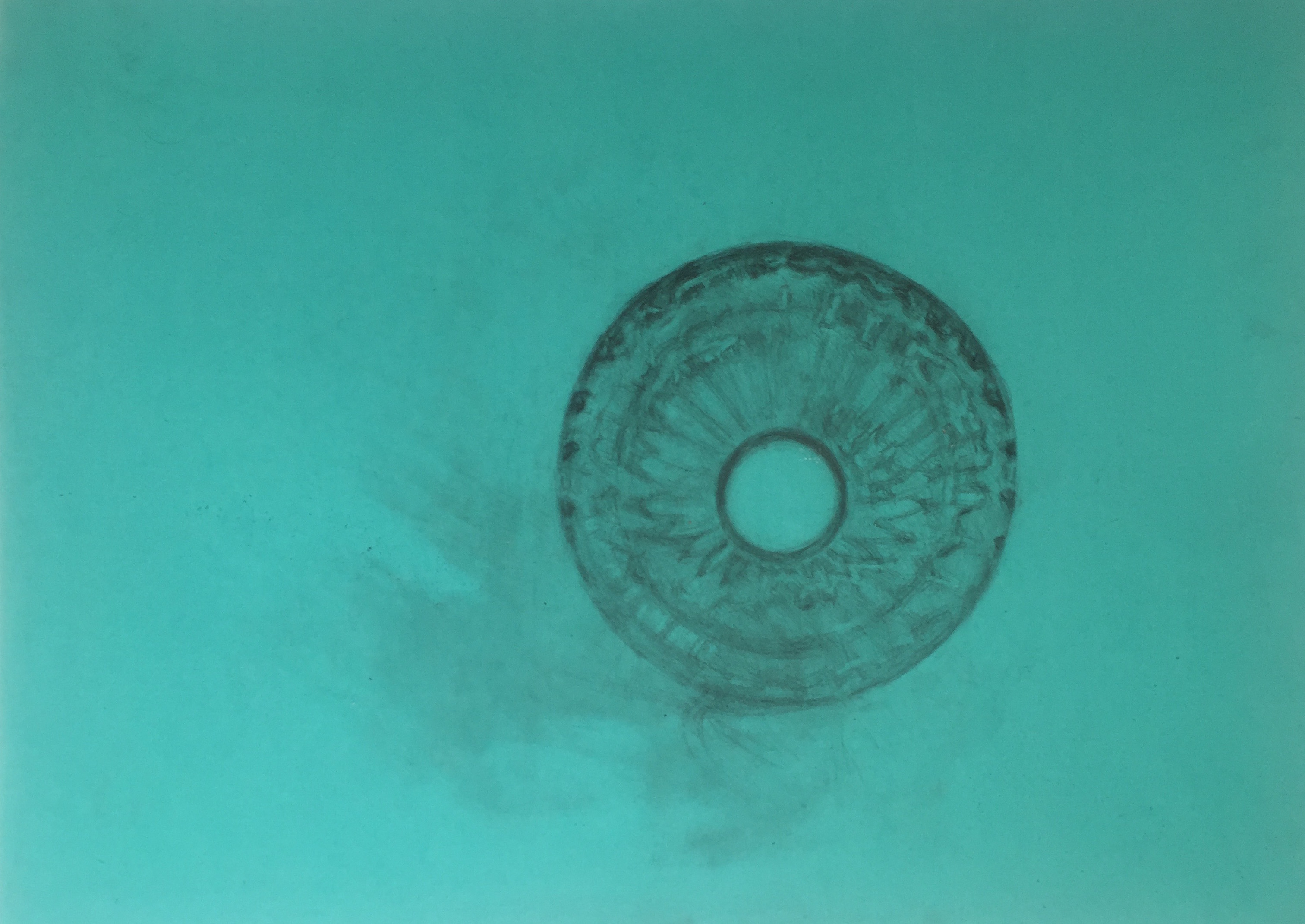 Un oeil, graphite sur calque de couleur, 64 x 45 cm, 2017