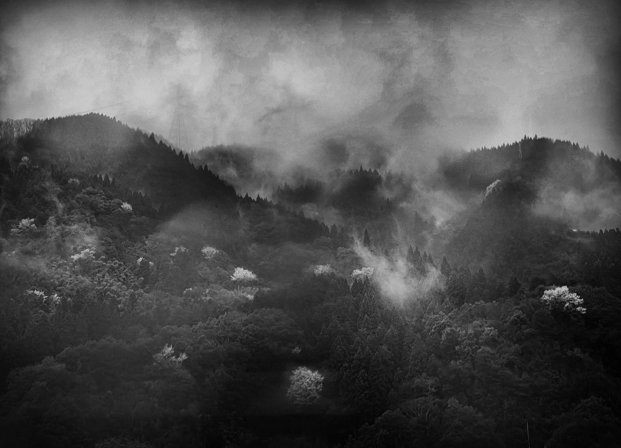 WHERE MYRIAD CLOUDS ASCEND