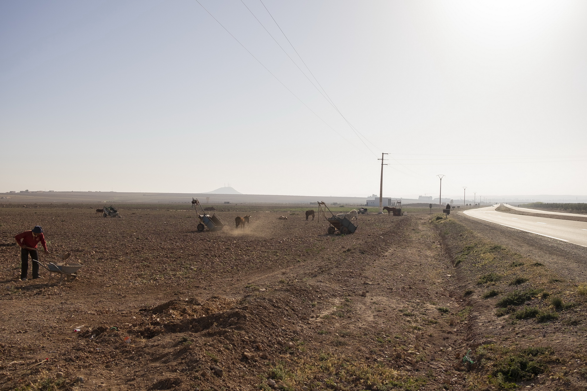 Despite harsh and rocky environment, people don´t give up on harvesting the land. 