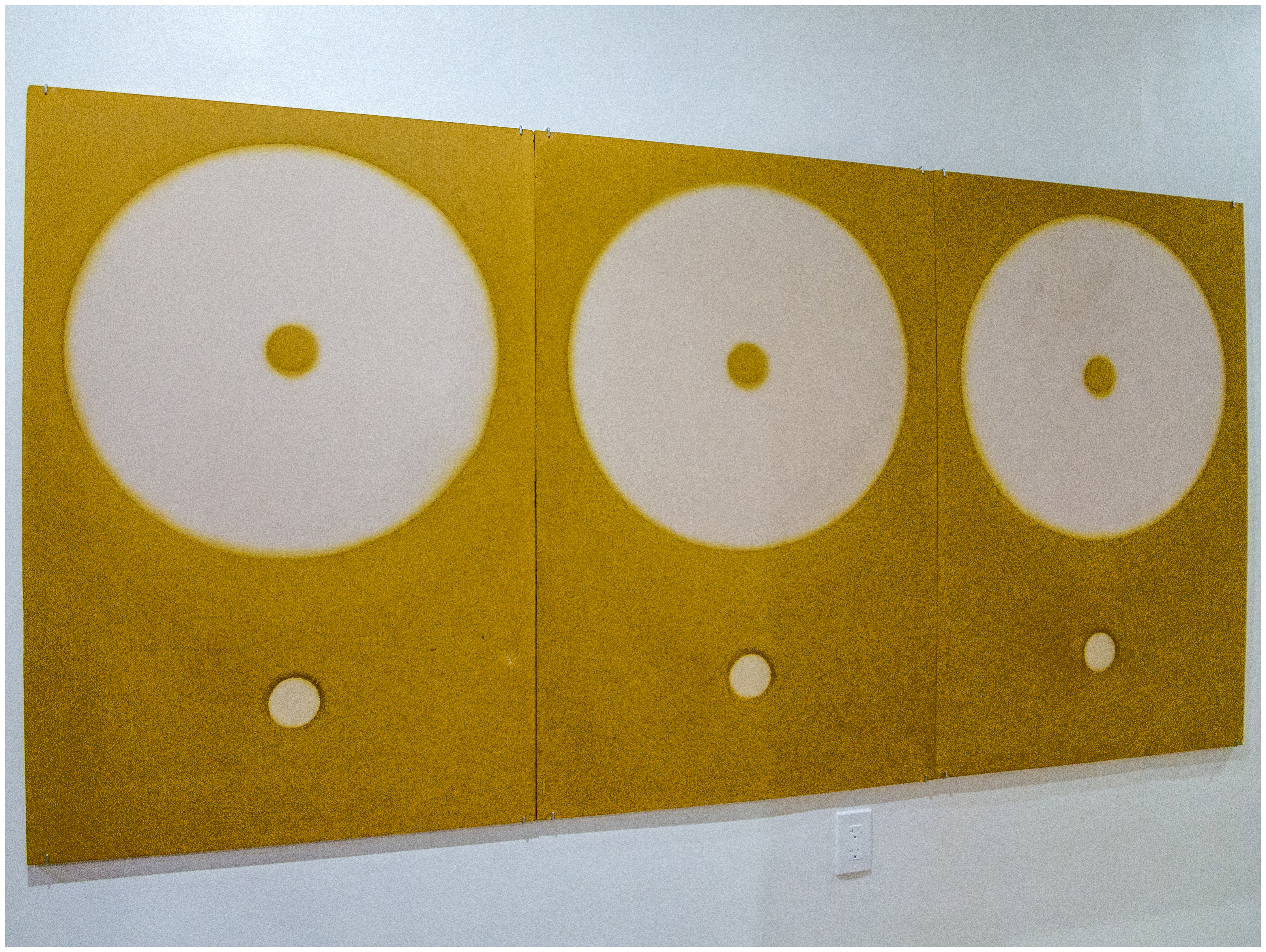 An Unfertilized Egg Before Conception, 2017High density foam, square bend screw hooks95.906 x 48.109 x .75 in.243.6 x 122.2 x 1.91 cm