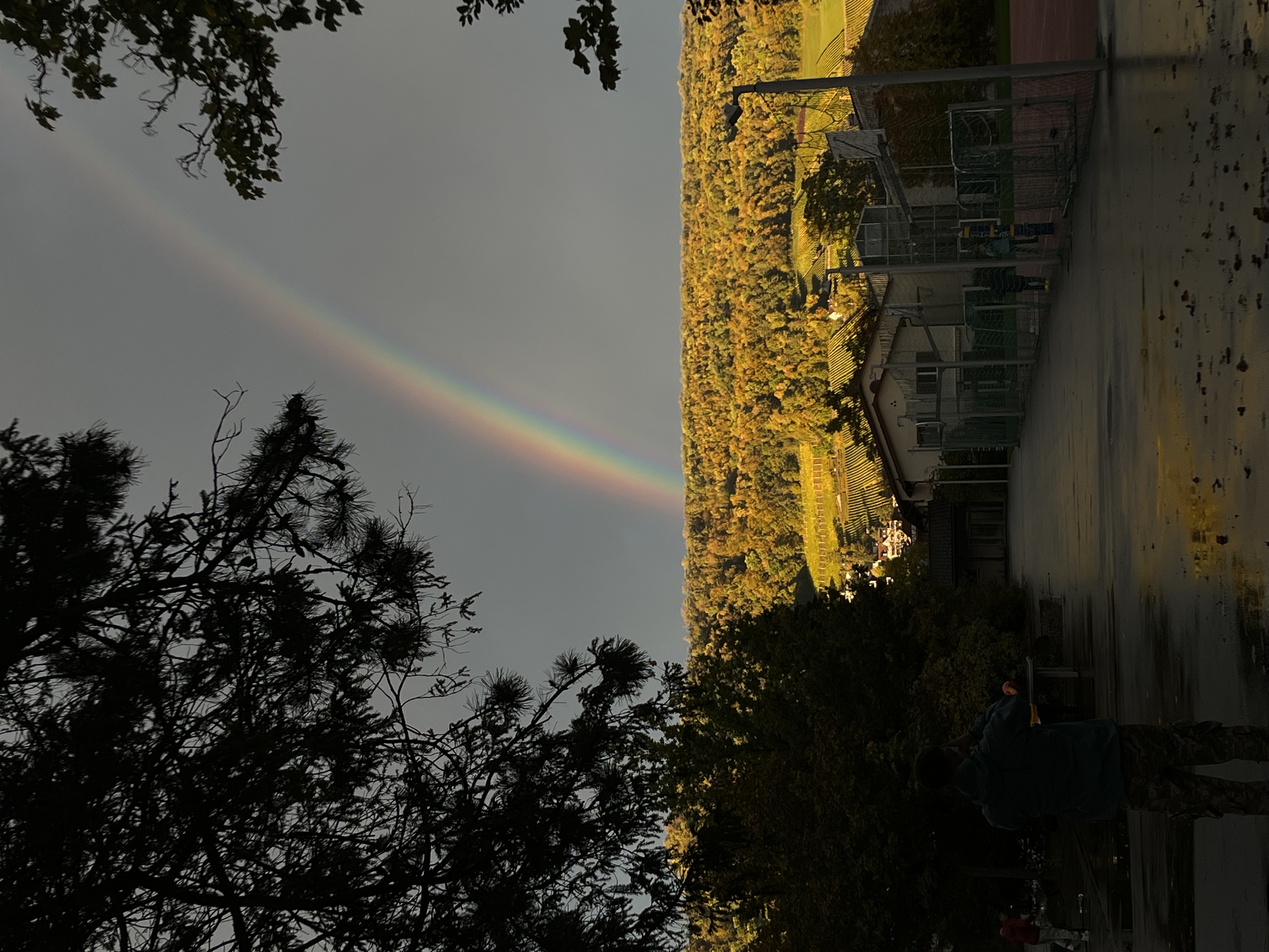 Ein Lichtspiel erhellt die Dunkelheit.