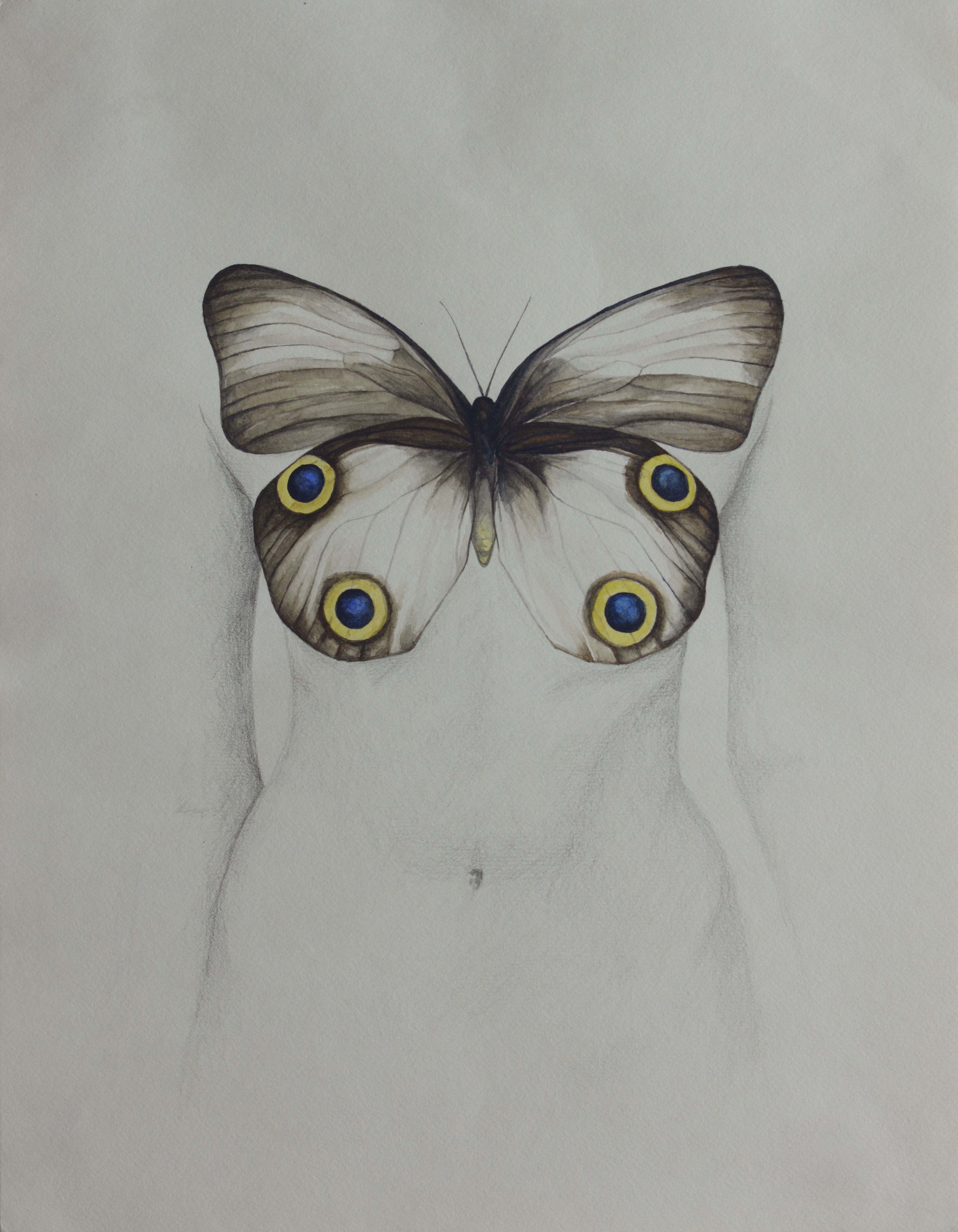 Butterfly Boobs 2014 Watercolour 14"x11"/35.5x28cm