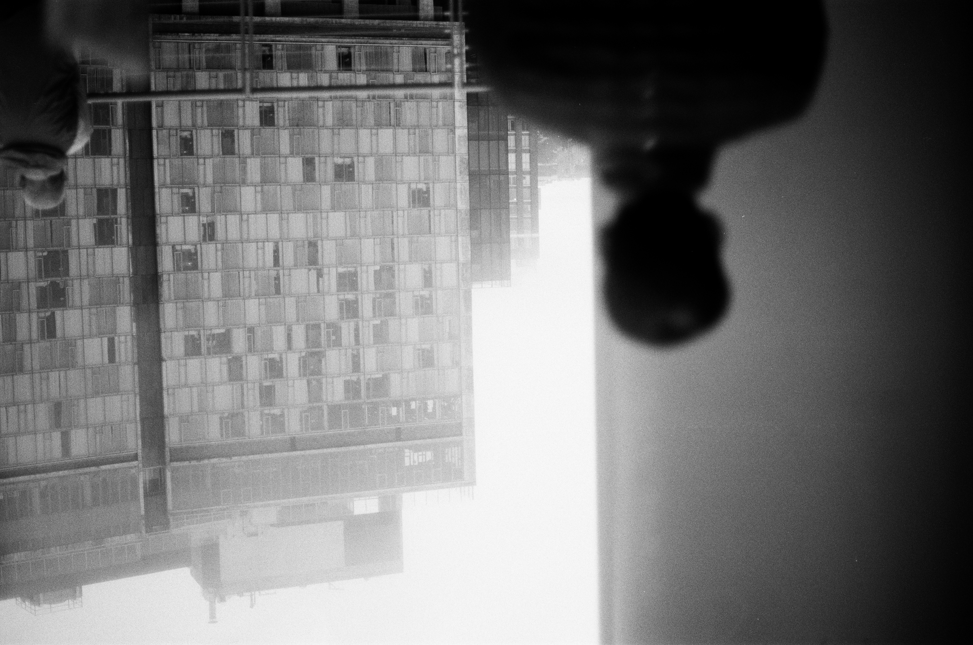 whitney museum, nyc | canon ae-1, ilford fp4