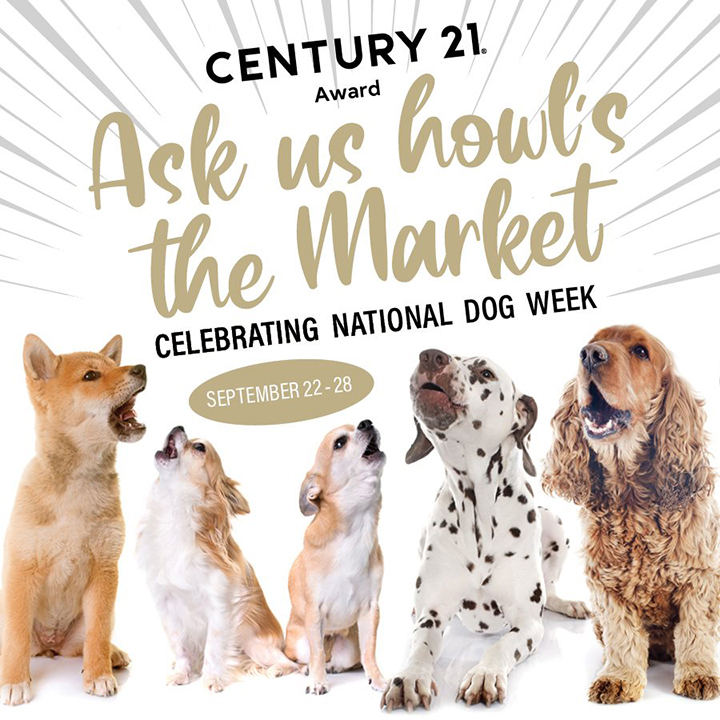 Social Media Graphic