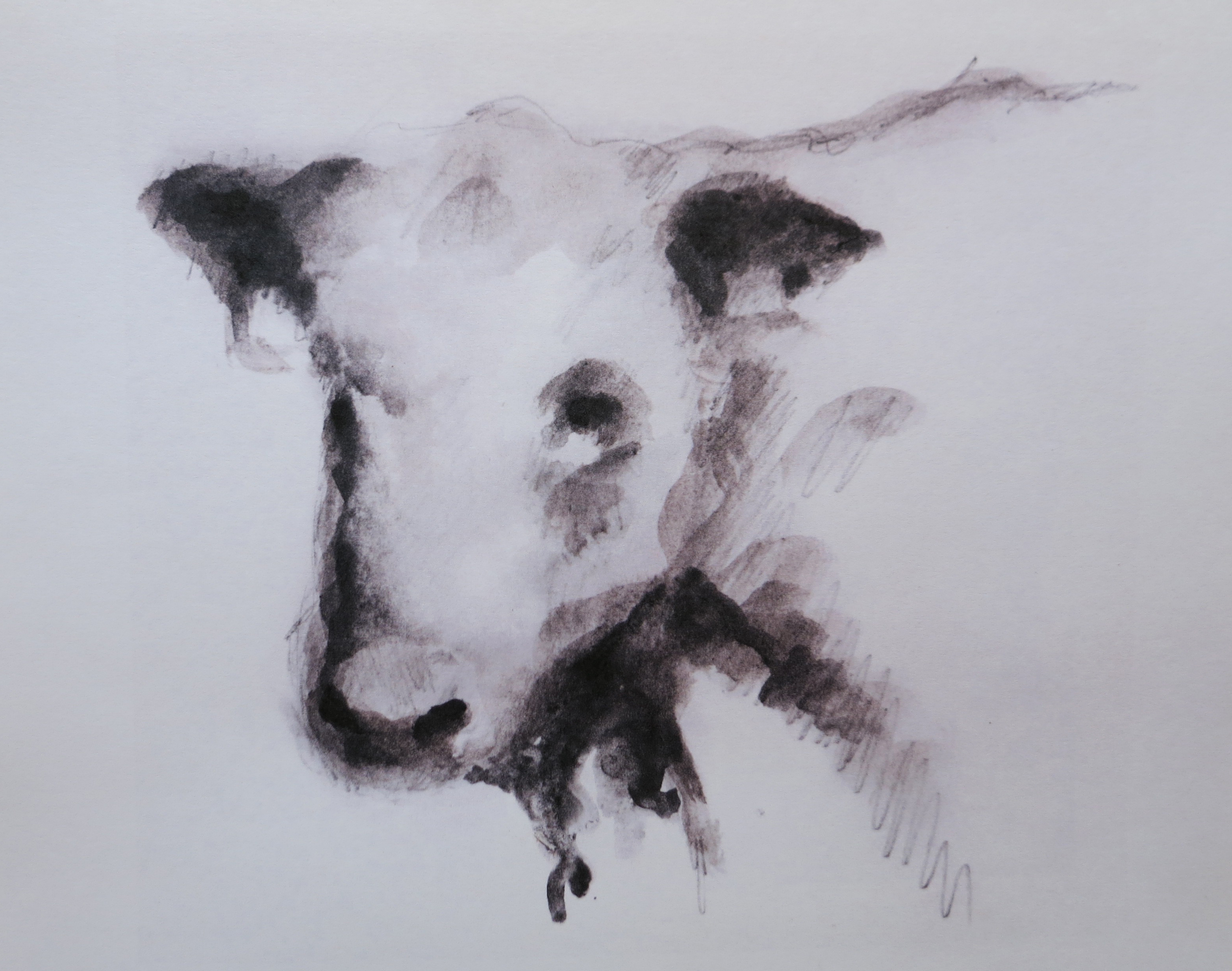  Ink on paper &ndash; 11&rdquo; x 8&rdquo; 