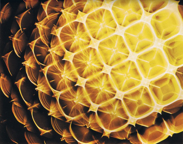 Cymatics by Hans Jenny / Source: dataisnature.com