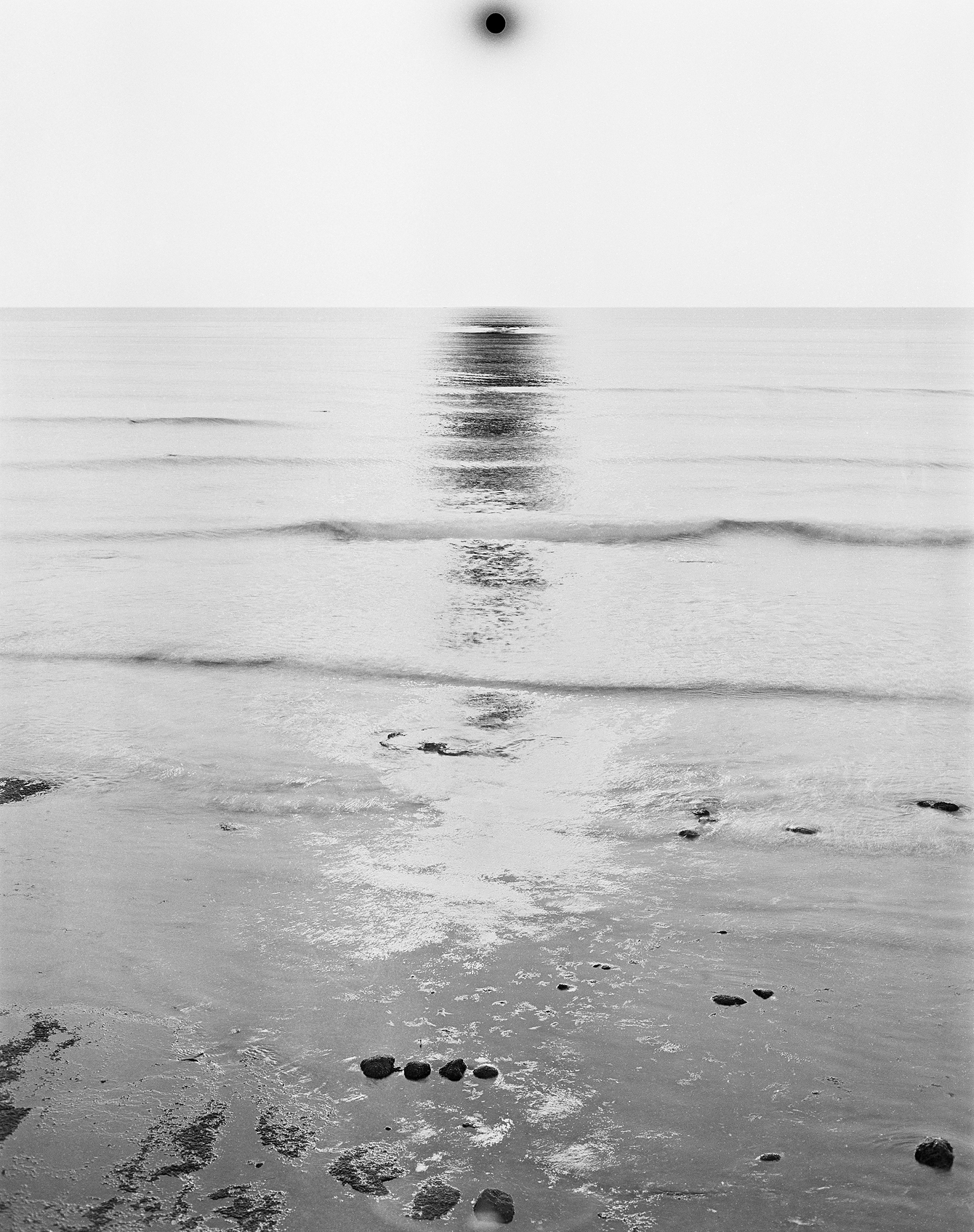 VVVVVVVVVVVVVVVVVVVVVVVVVVVVVVVV (1110R1F6), 2019