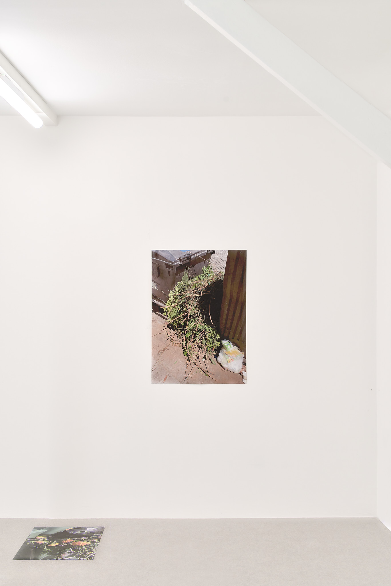 Inês Tartaruga Água, 'Displacement I' (2023); 'Displacement II' (2023)