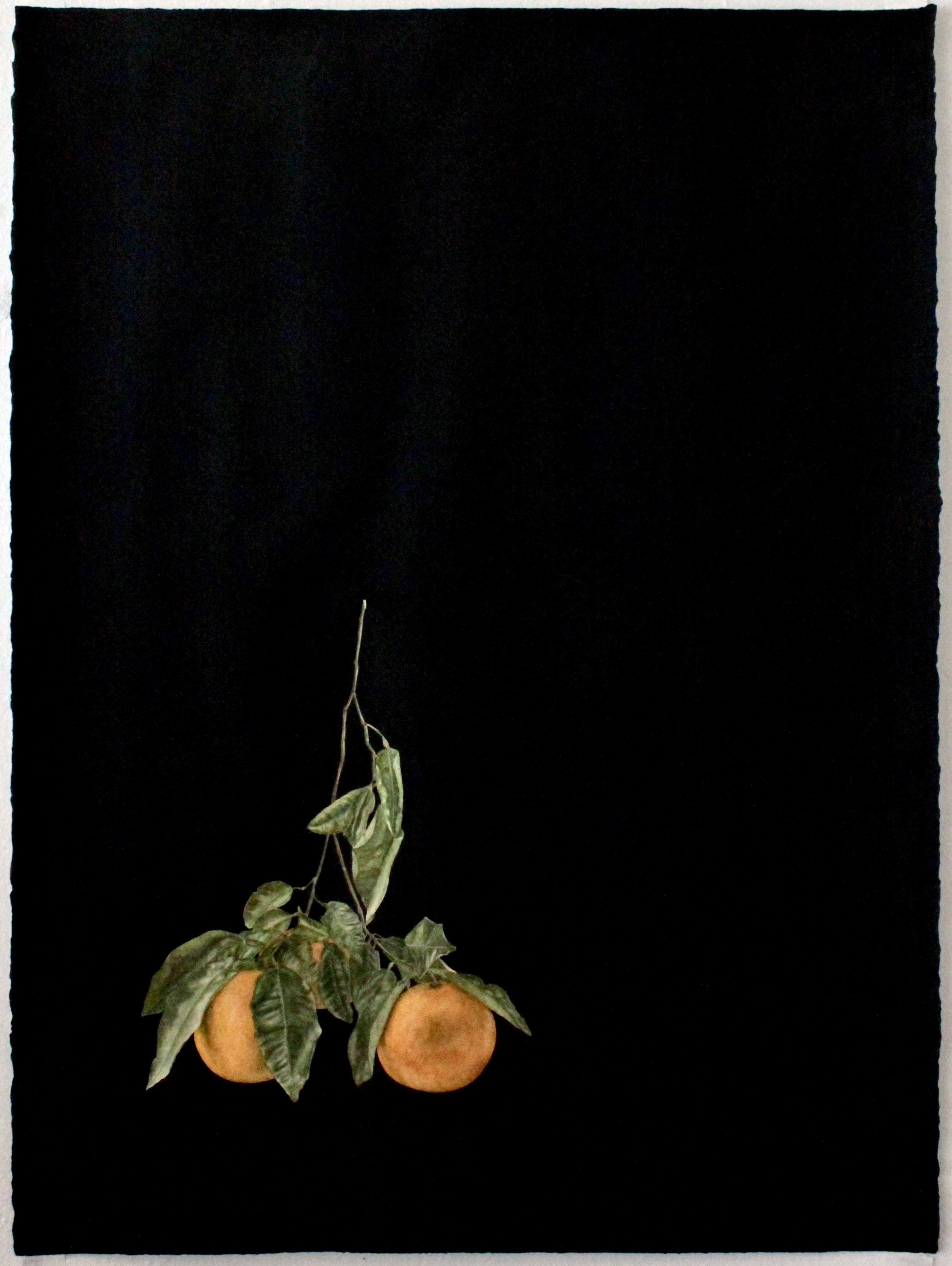 Produce, 2014 watercolor and charcoal on paper, 30" x 22.5"