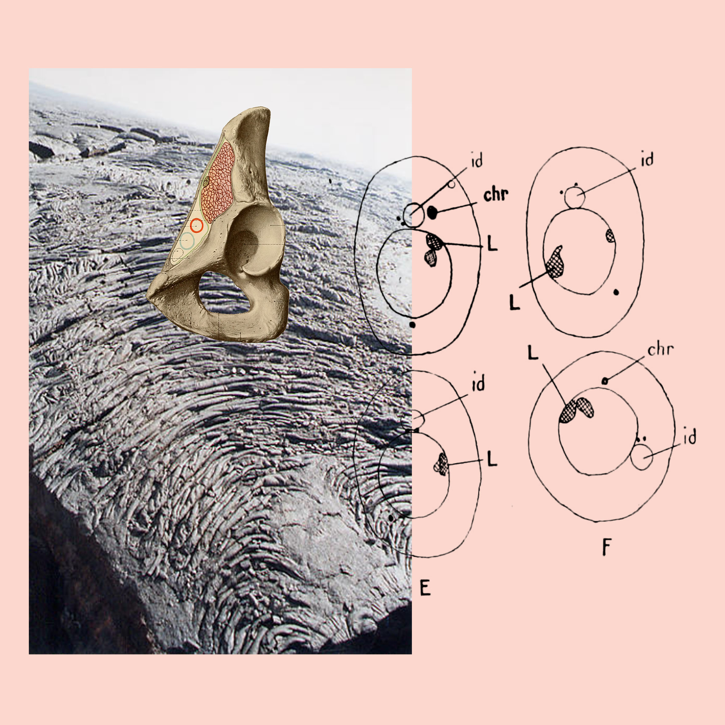 Transfiguring Space avec Maya M. Carroll