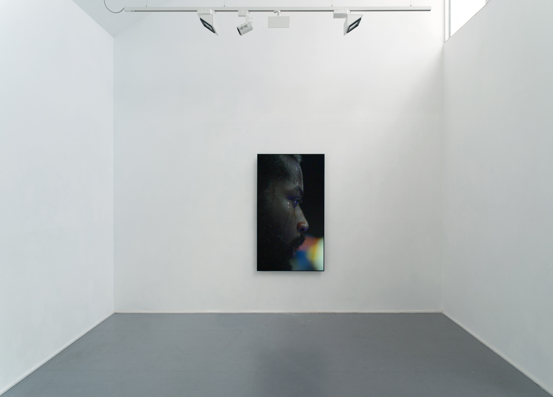 L'acte Gratuit, 2014, single-channel HD colour video, 9:16, stereo sound, 29 minutes 50 seconds