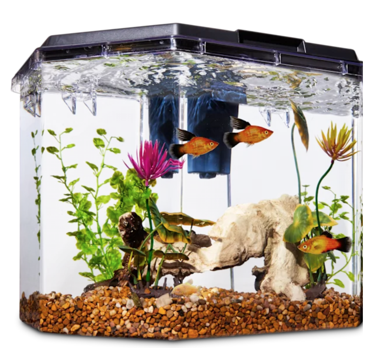 Sergej Tratar Baamonde 