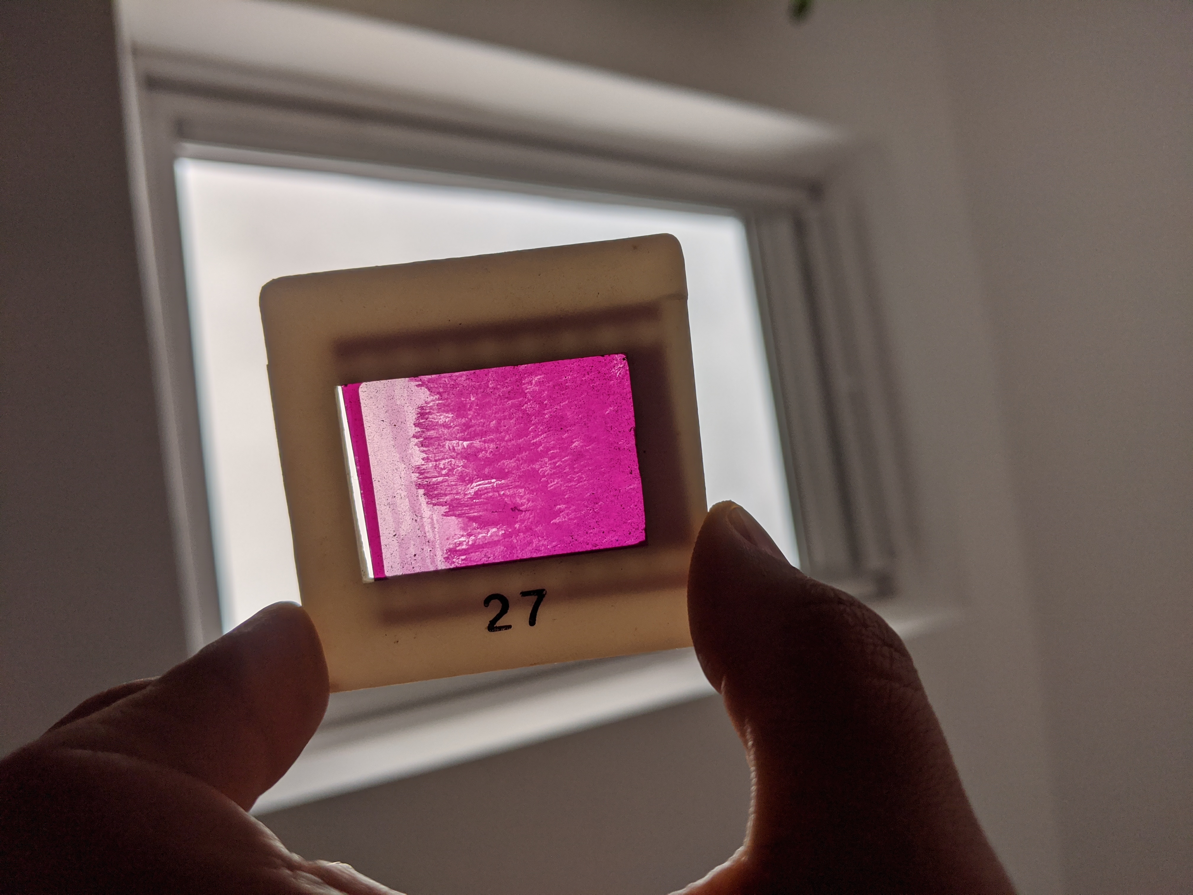 The numbers titling each image are from the 35mm slides which hold them and that is all the information I have about the originals. 