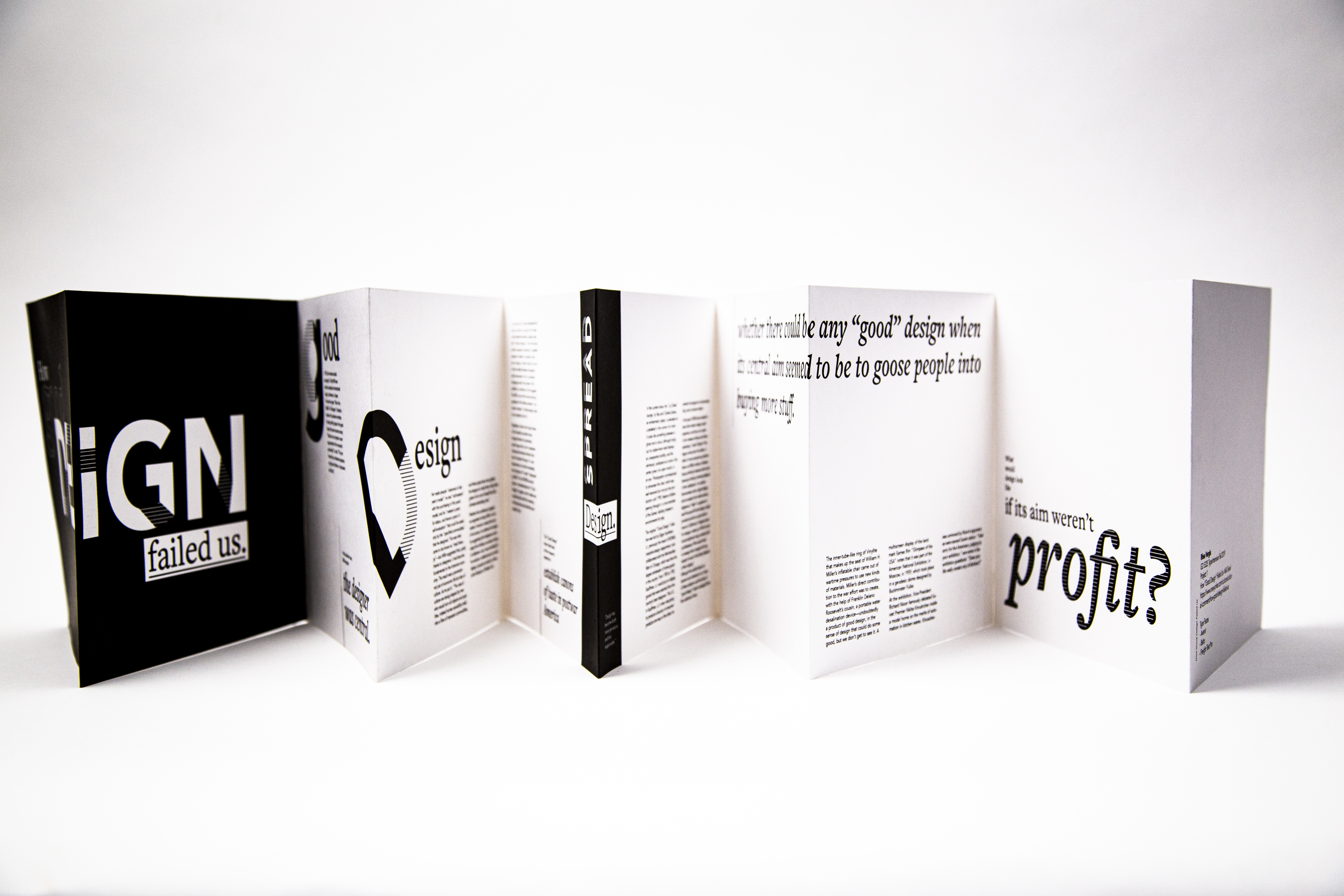 Image of the accordion book stretched out