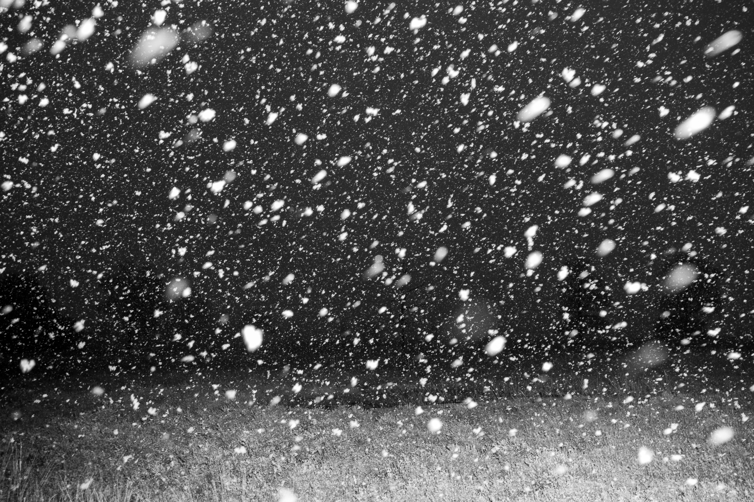 »Sichtschutz«, 2023